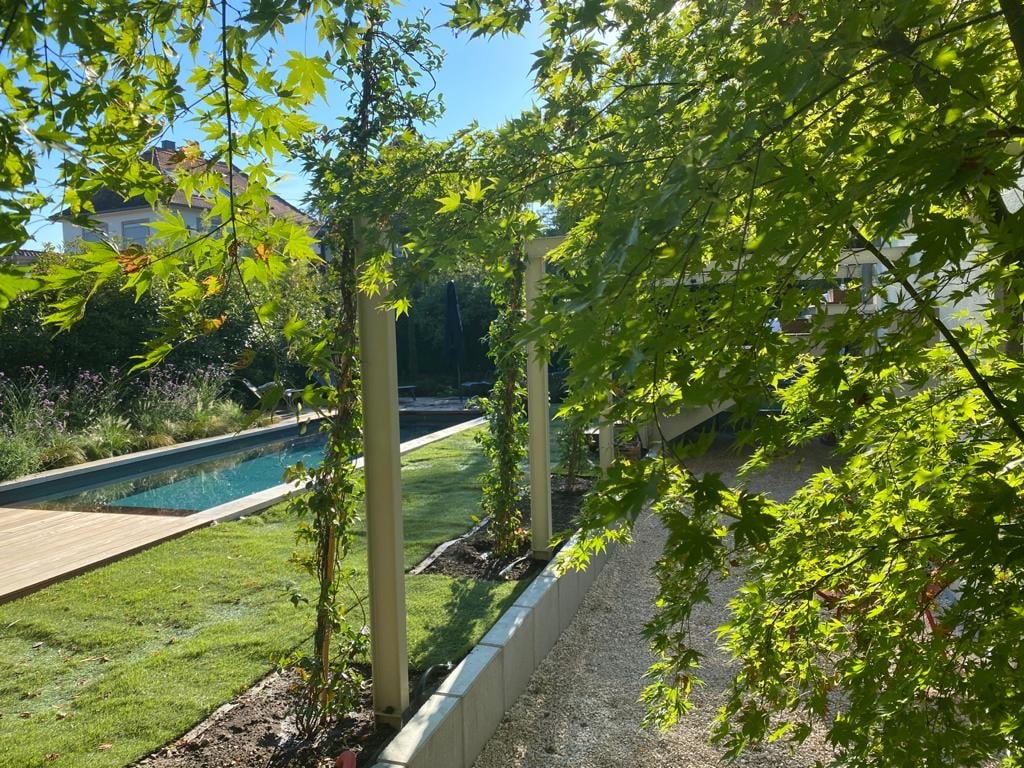 Jardin moderne et ensoleillé: longue piscine, terrasse en bois, pelouse verdoyante. Feuillage luxuriant au premier plan, maison visible.