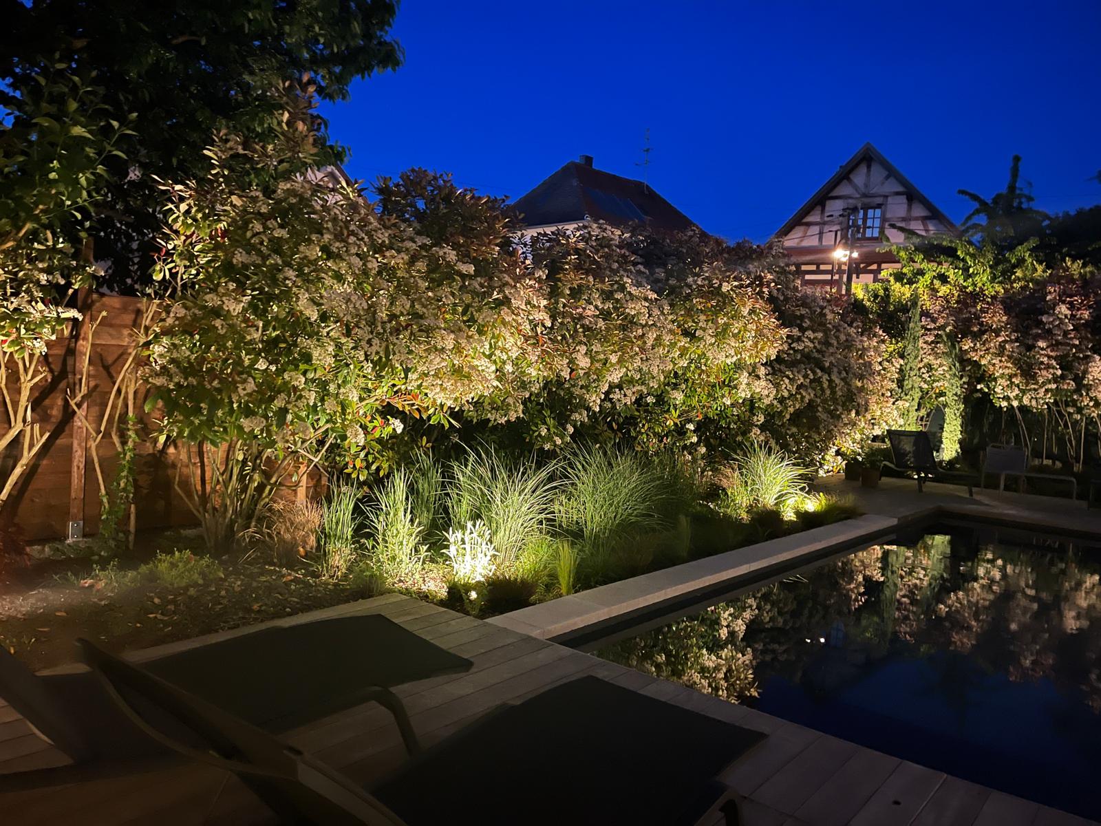 Jardin de nuit avec piscine éclairée, transats sur terrasse en bois, buissons fleuris et herbes hautes illuminés, maisons en arrière-plan.