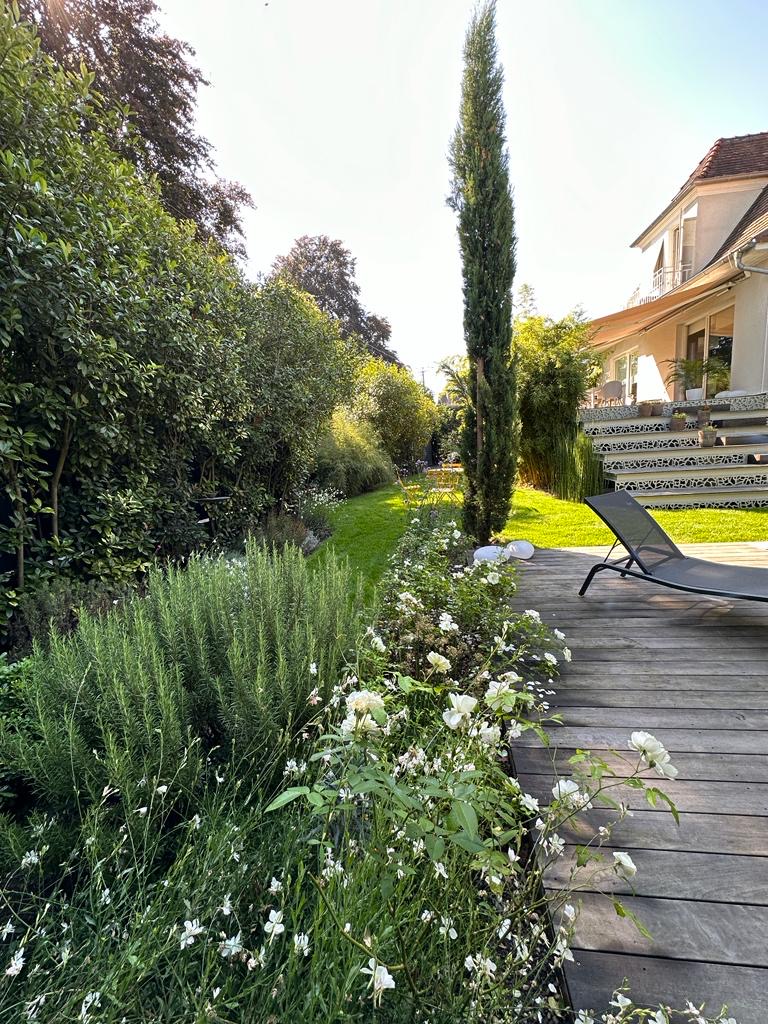 Jardin méditerranéen ensoleillé avec terrasse en bois, transat, rosiers blancs, romarin, pelouse, cyprès élancé et maison élégante.