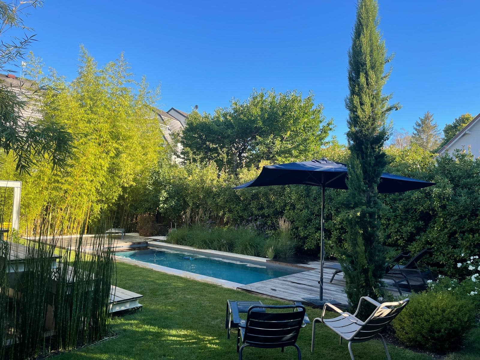 Jardin ensoleillé avec longue piscine moderne, bordée de bambous luxuriants et d'une terrasse en bois. Parasol et chaises invitent à la détente.