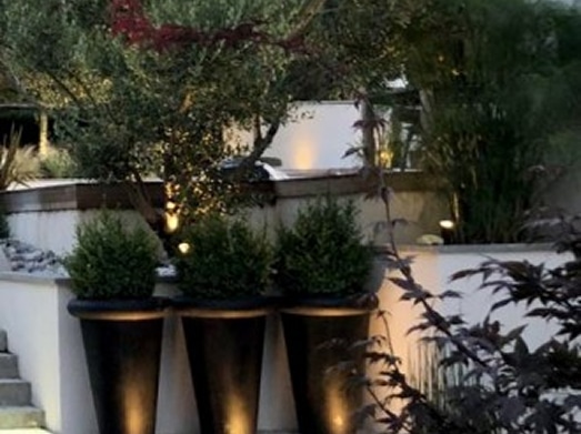 Jardin moderne éclairé la nuit avec trois grands pots de fleurs noirs, des arbustes verts et un grand arbre. Lumières d'accentuation chaudes sur les plantes et les murs.