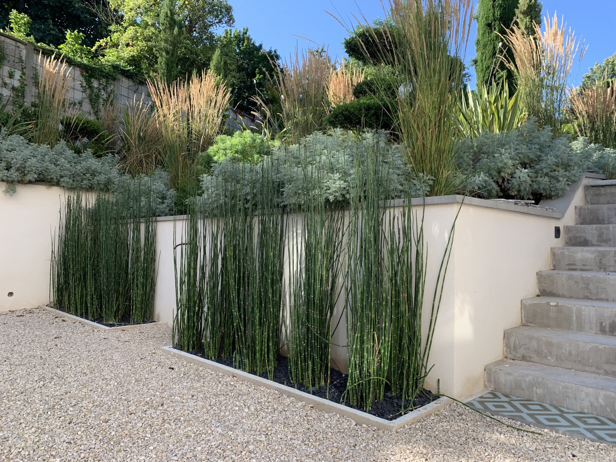 Jardin moderne avec chemin de gravier clair, haies d'Equisetum, graminées ornementales, plantes argentées et escalier béton.