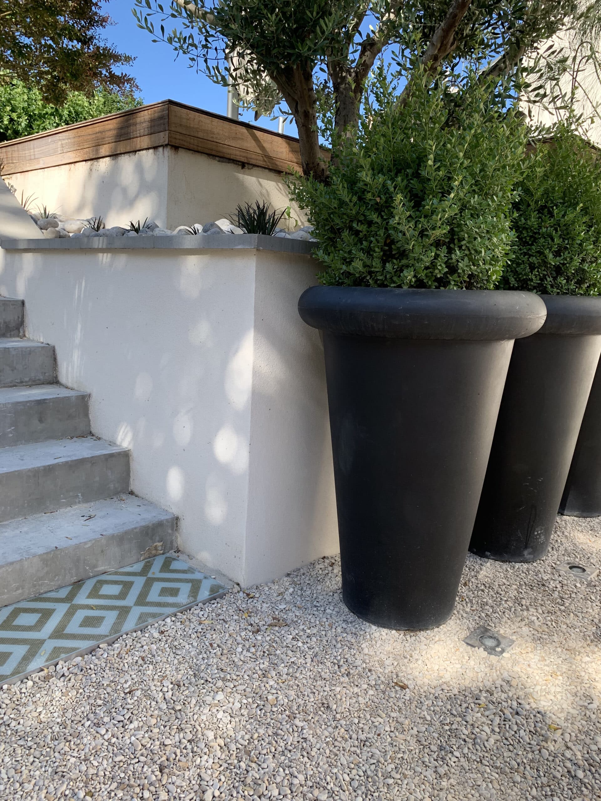 Jardin moderne et épuré. Escalier béton, mur blanc, jardinières noires à buissons verts. Sol en gravier clair, carrelage et olivier.