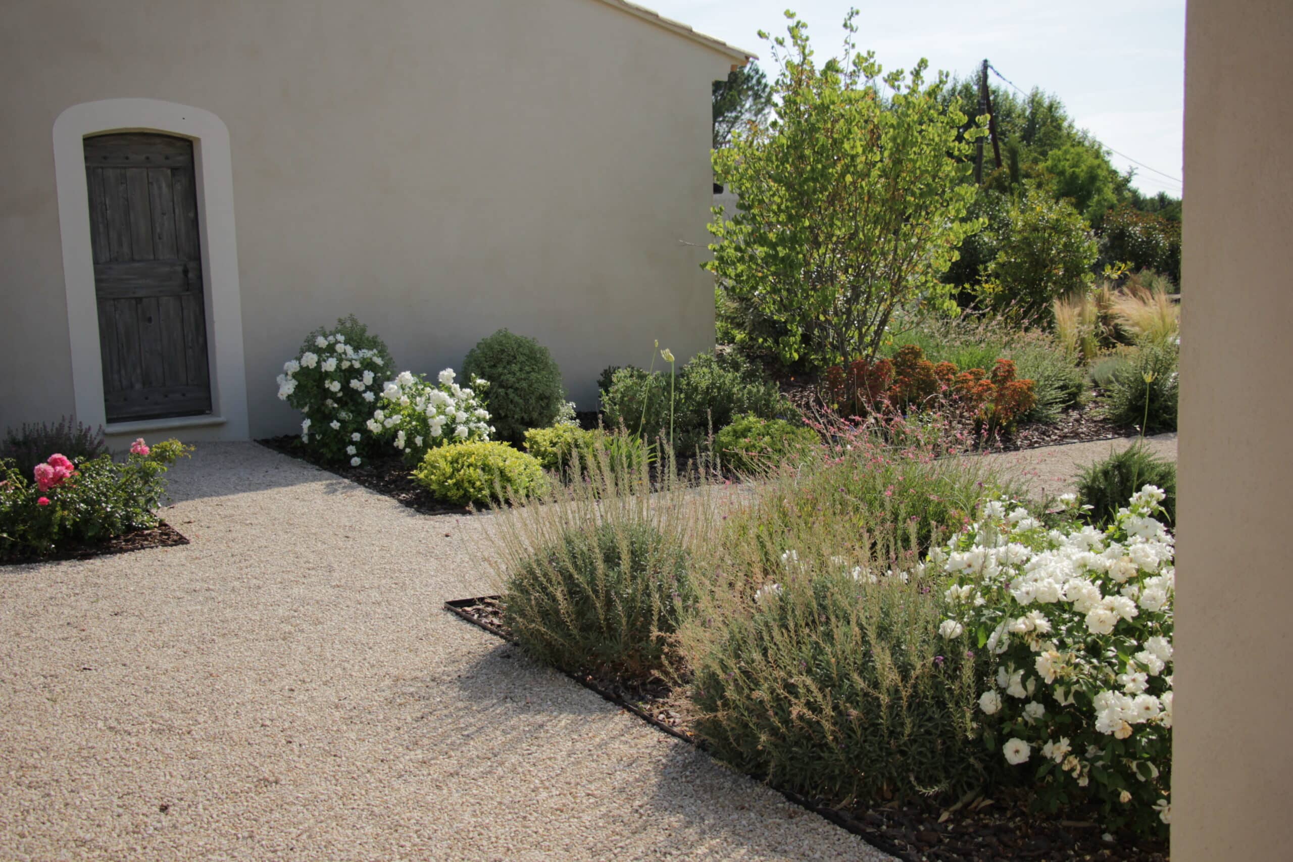 Jardin paysager avec allée en gravier clair menant à une maison crème avec porte en bois. Rosiers blancs et roses, arbustes variés.