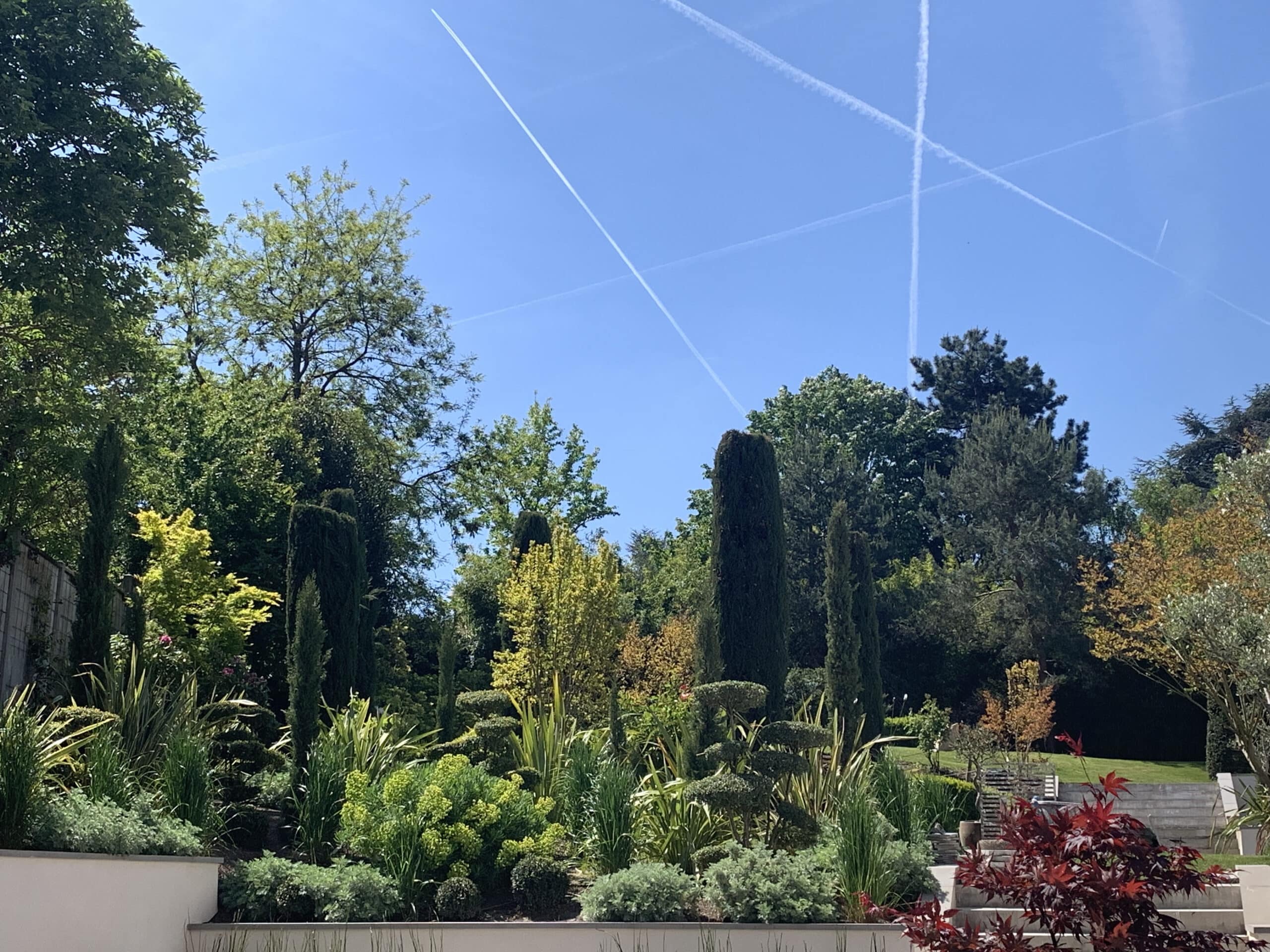 Jardin paysager luxuriant avec cyprès, arbustes verts variés et un érable rouge. Ciel bleu clair parsemé de multiples traînées d'avions.
