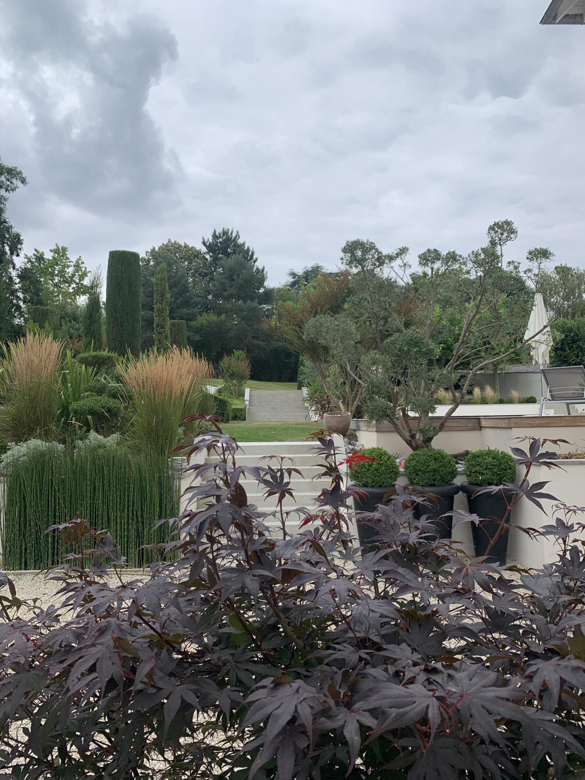 Jardin paysager avec escalier blanc menant à un niveau supérieur, érables rouges en premier plan, hautes herbes et cyprès sculptés sous ciel nuageux.