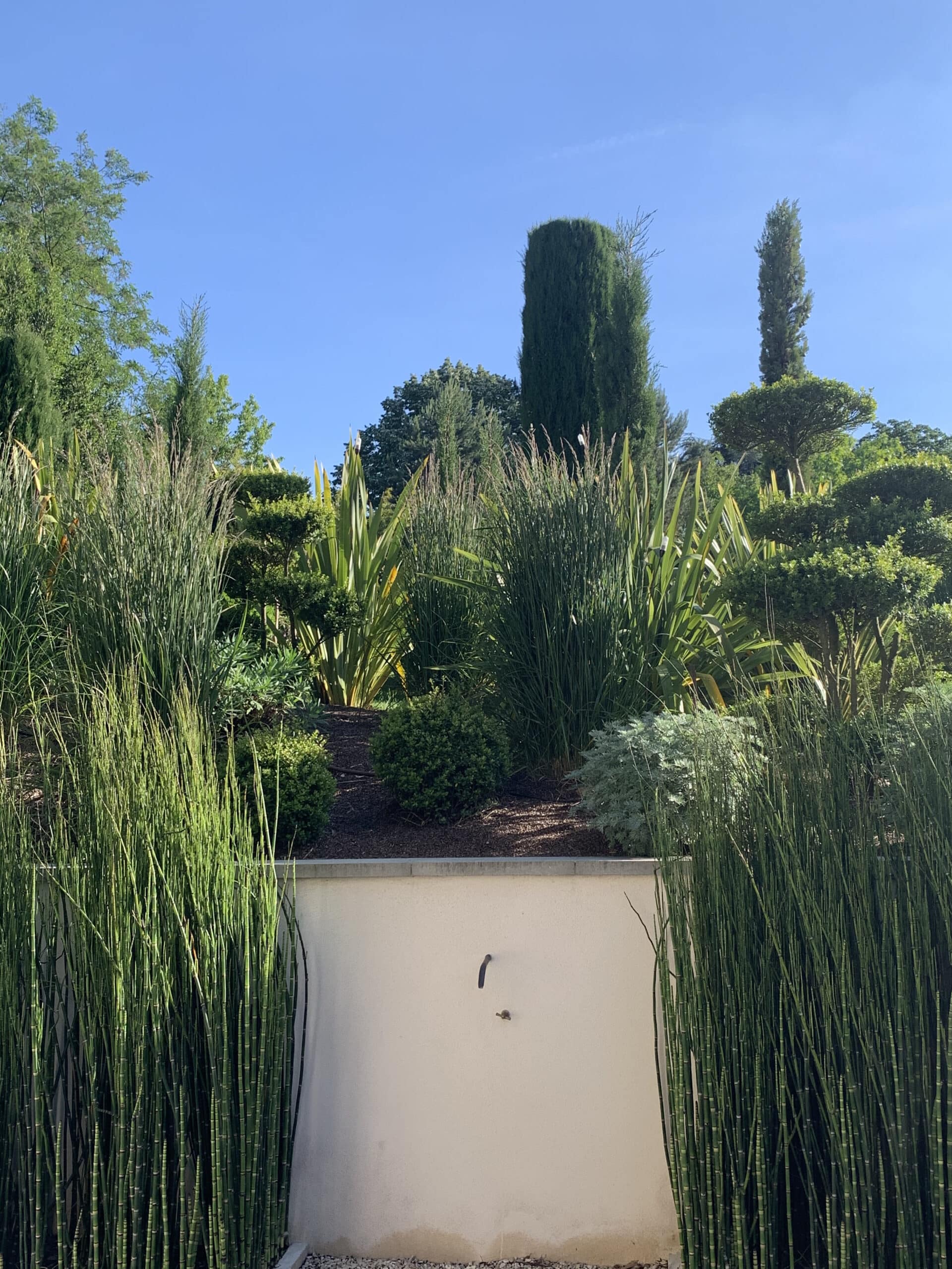 Jardin méditerranéen avec cyprès, topiaires, herbes ornementales et prêles en premier plan devant un mur clair sous un ciel bleu.
