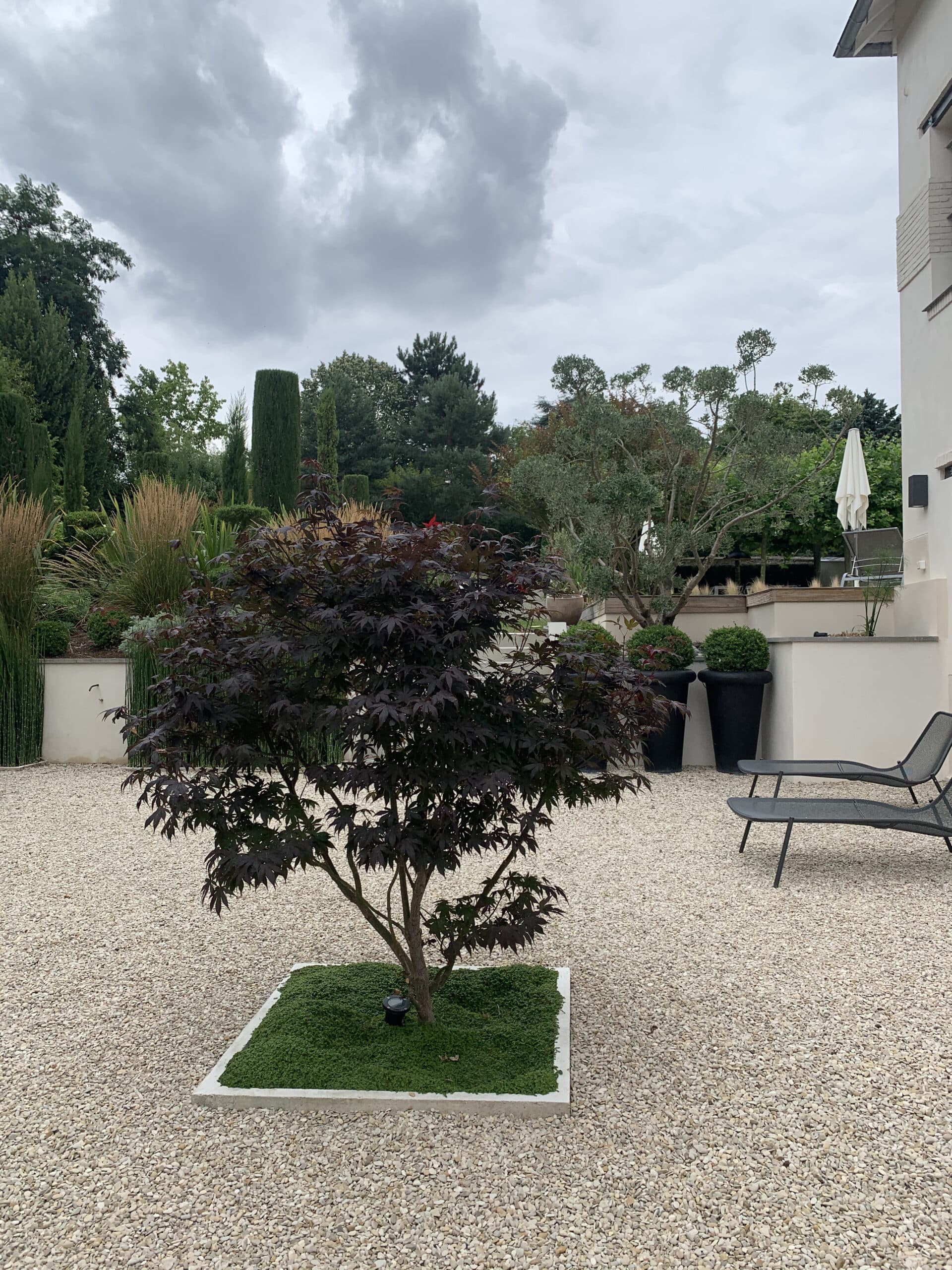 Érable japonais sur gravier clair, patio avec transats et parasol blanc. Jardin luxuriant en arrière-plan sous un ciel nuageux.