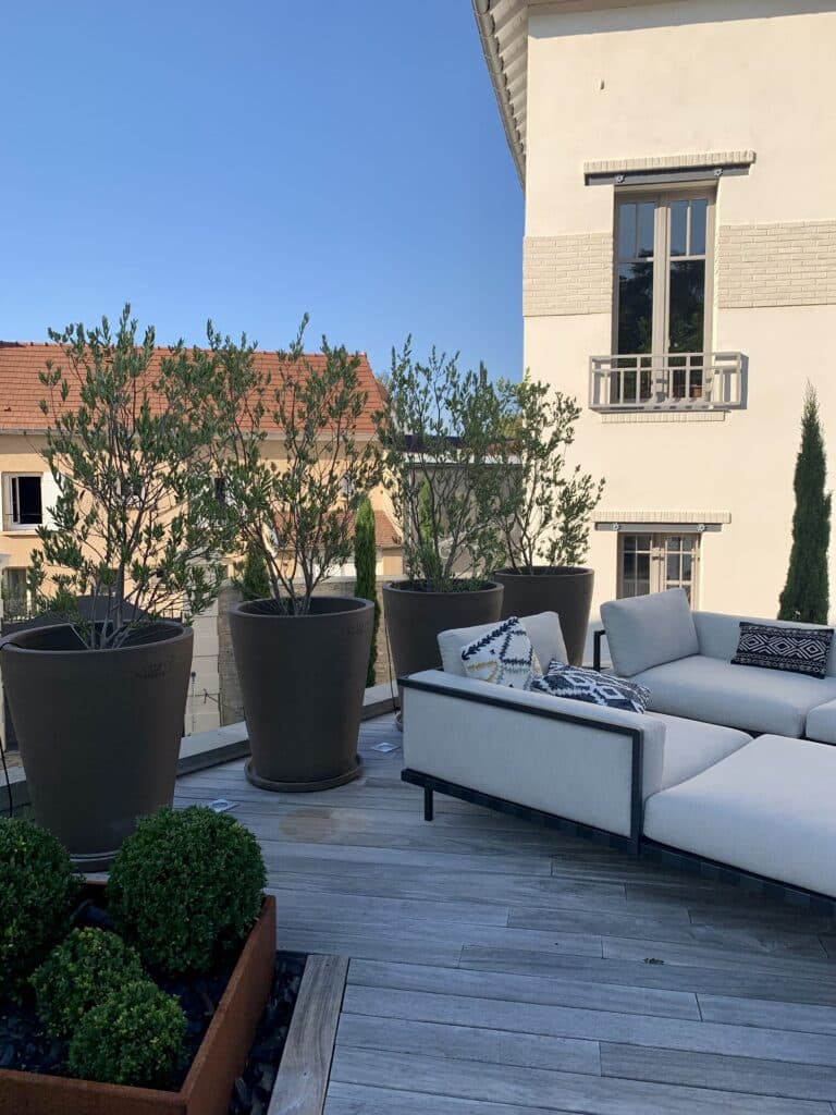 Terrasse ensoleillée: canapé d'extérieur clair, grands pots RAVEL 1837 FRANCE avec oliviers, bacs en métal rouillé sur bois.