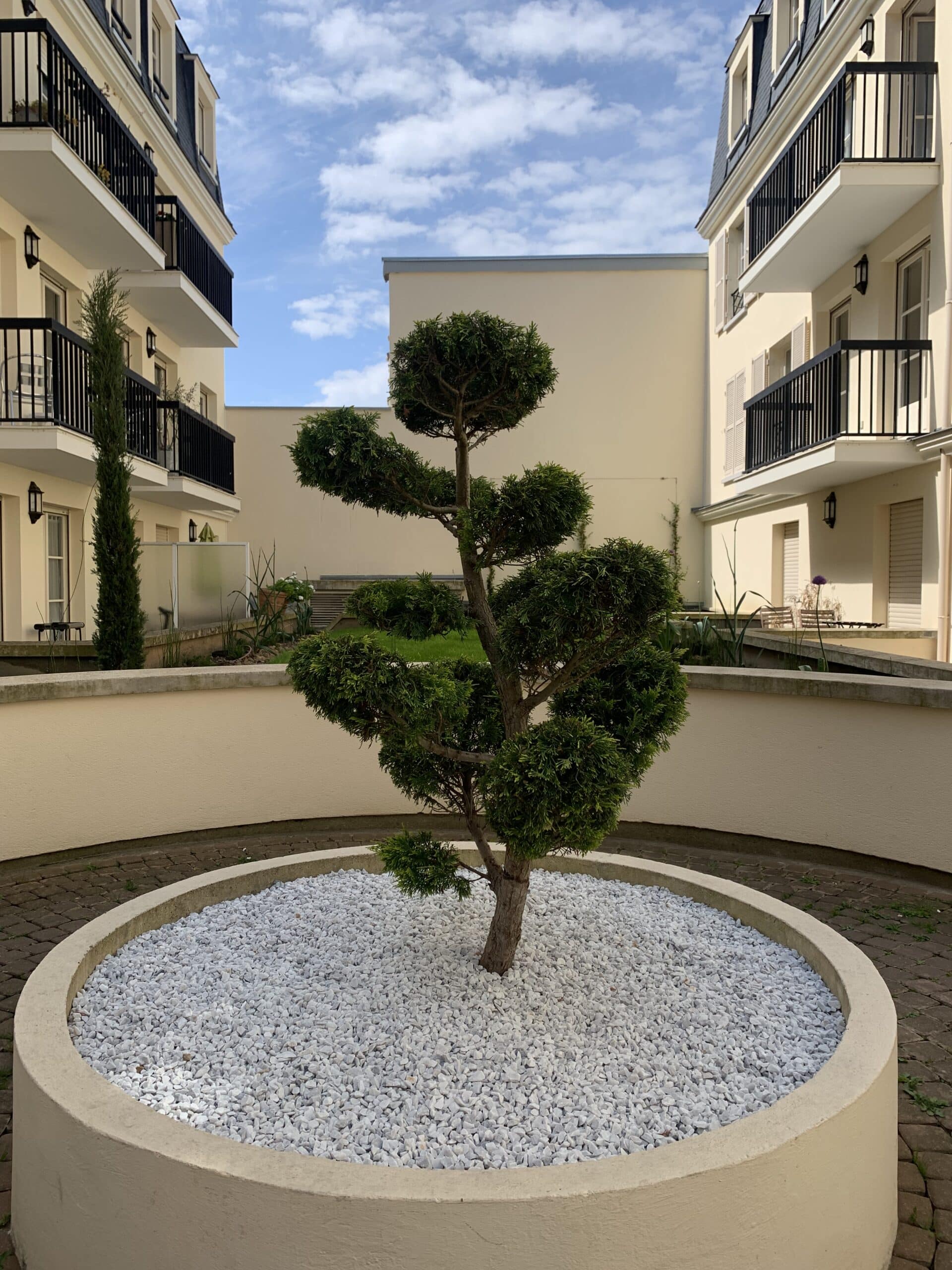 Cour intérieure moderne avec arbre topiaire stylisé dans un parterre de graviers blancs. Deux immeubles résidentiels crème aux balcons noirs sous un ciel bleu nuageux.