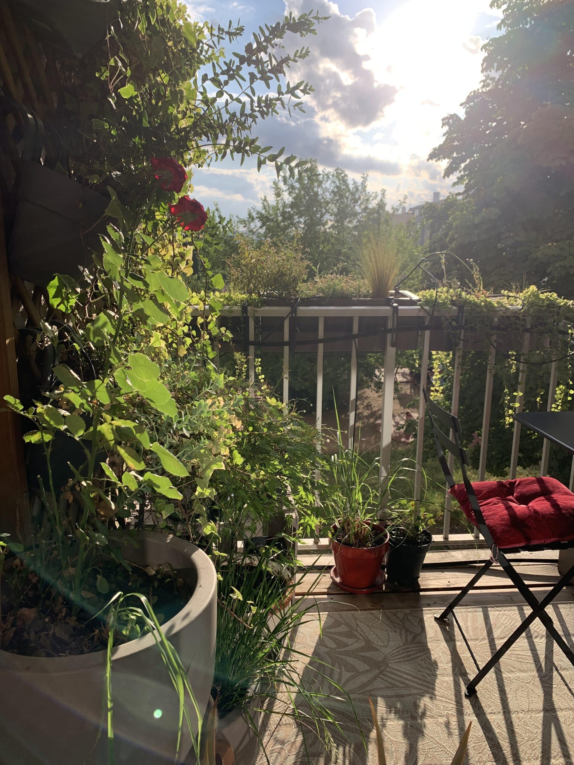 Balcon ensoleillé fleuri: plantes vertes, deux roses rouges, chaise noire avec coussin rouge sur tapis. Ambiance paisible d'extérieur.