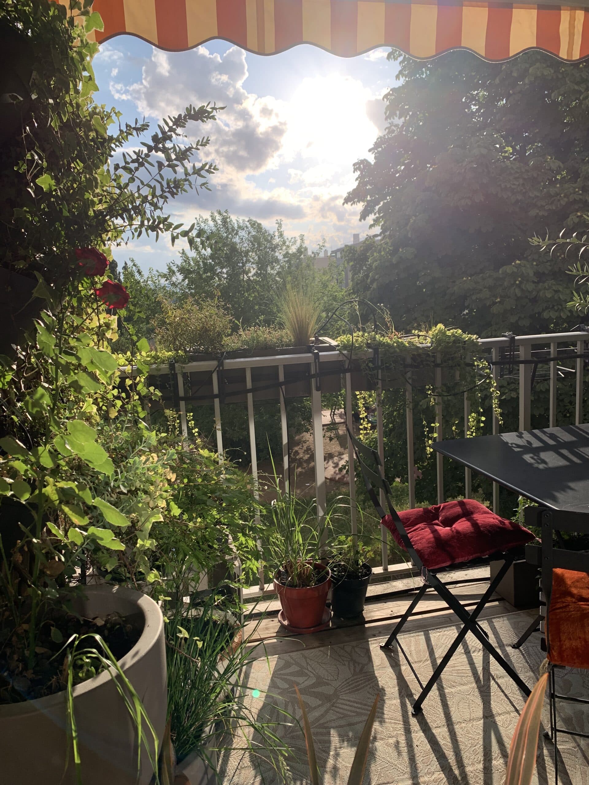 Balcon ensoleillé fleuri, auvent rayé. Plantes verdoyantes, table et chaise rouge. Ombres distinctes sur le sol. Vue sur arbres et ciel bleu.
