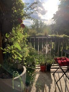 Balcon ensoleillé avec plantes luxuriantes, une chaise rouge sous le soleil couchant, créant des ombres nettes sur le tapis extérieur.