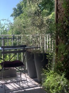 Balcon ensoleillé aménagé avec des plantes, dont un olivier en grands pots gris, une chaise pliante avec coussin bordeaux et un treillis en bois.