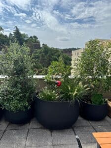 Balcon terrasse urbain avec grands pots noirs contenant des arbustes et herbes ornementales, vue sur verdure et fortifications anciennes sous un ciel nuageux.