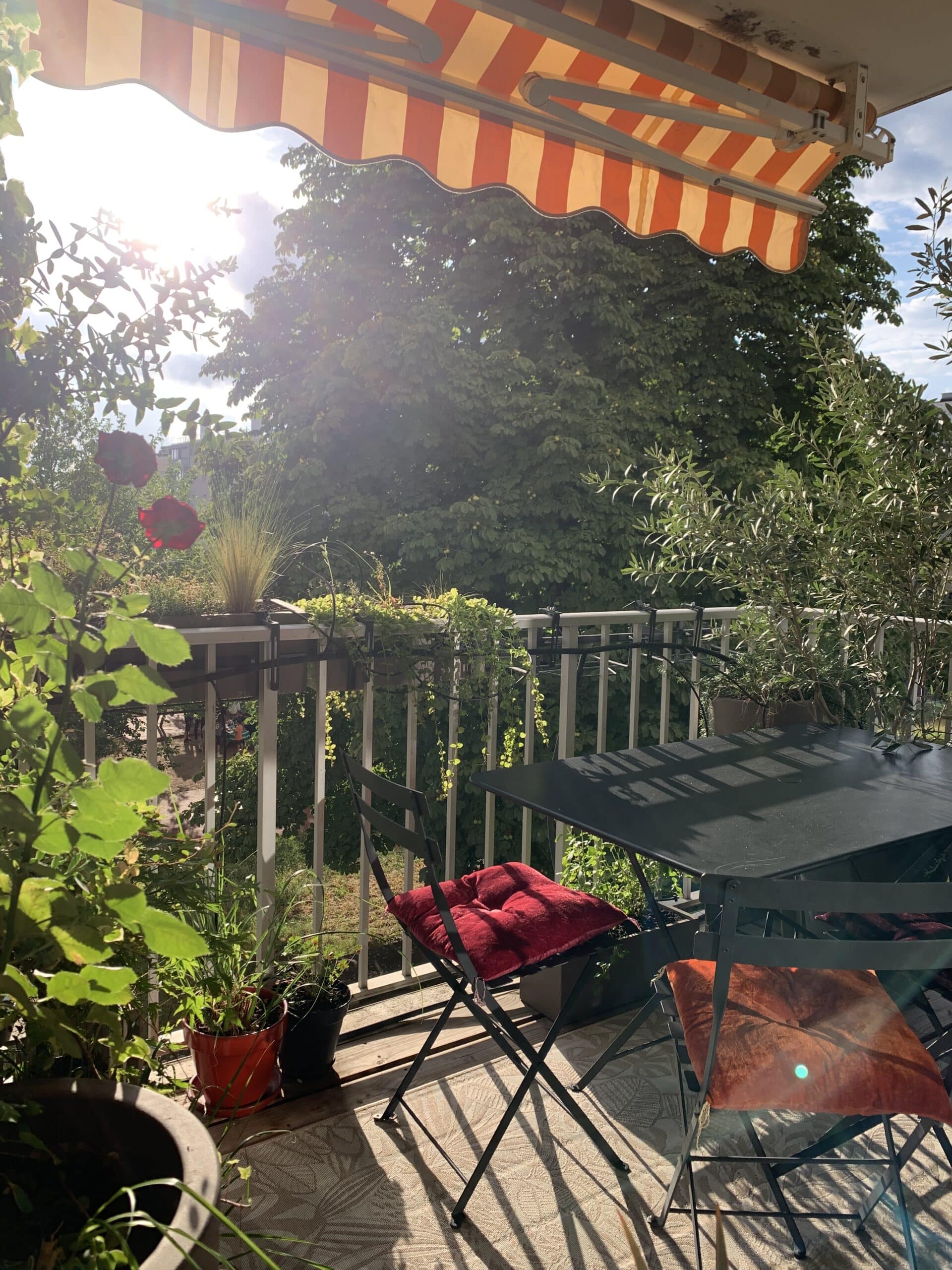 Balcon ensoleillé: store banne orange, table bistrot, chaises coussins rouges. Plantes, roses, oliviers. Vue sur arbres luxuriants et ciel bleu. Ambiance paisible.