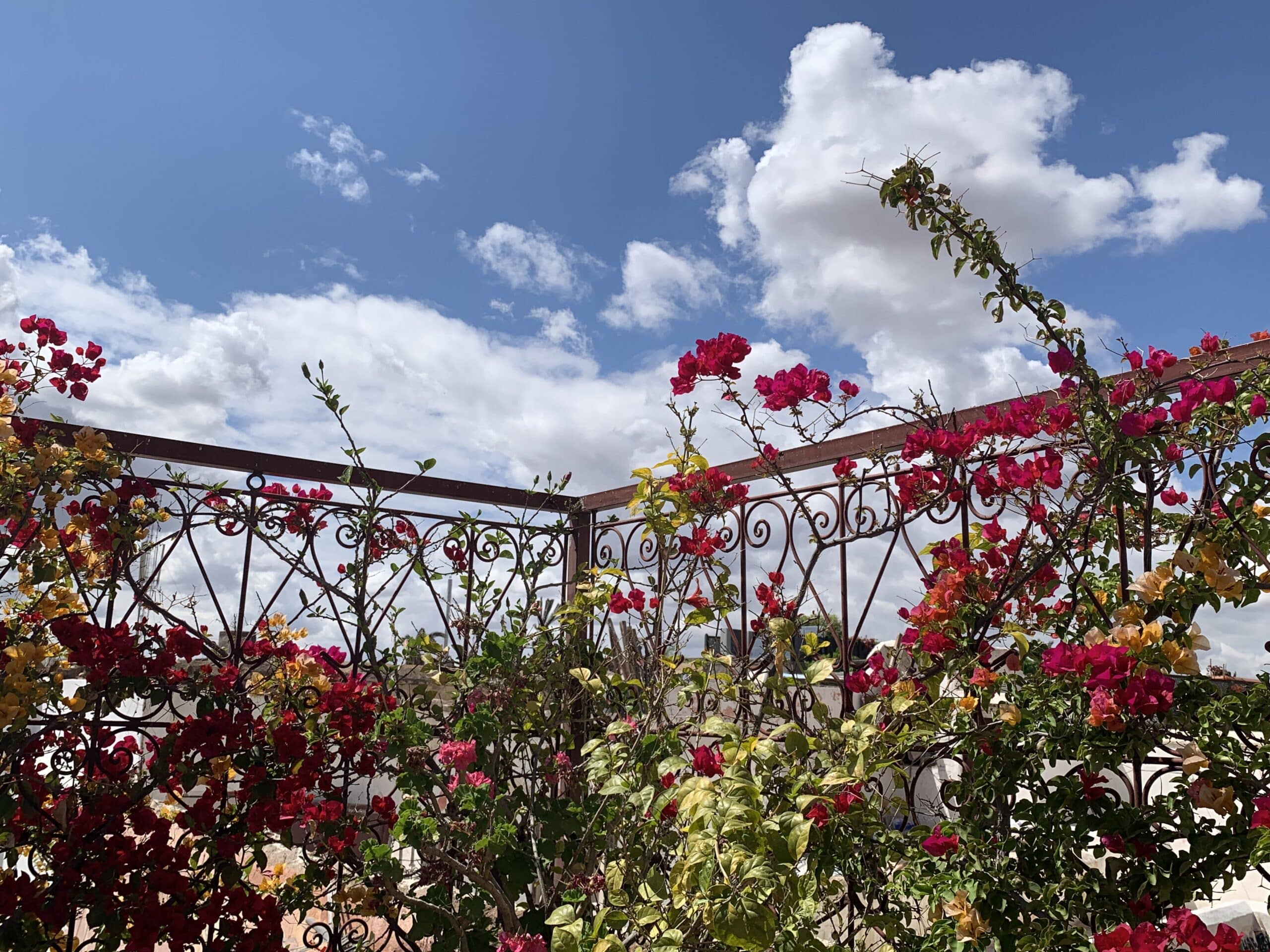 Balustrade en fer forgé ornée de bougainvilliers rouge vif et jaune sous un ciel bleu intense avec des nuages blancs éclatants.