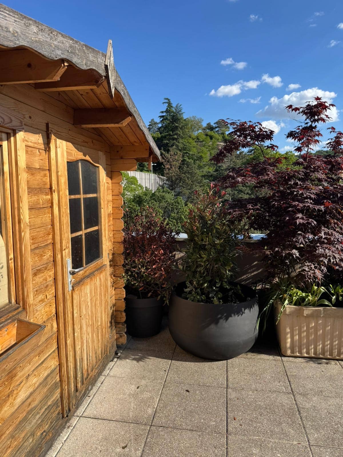 Cabane en bois rustique avec porte et fenêtre sur une terrasse pavée. Plantes en pot (érables rouges, arbustes) sous un ciel bleu lumineux.
