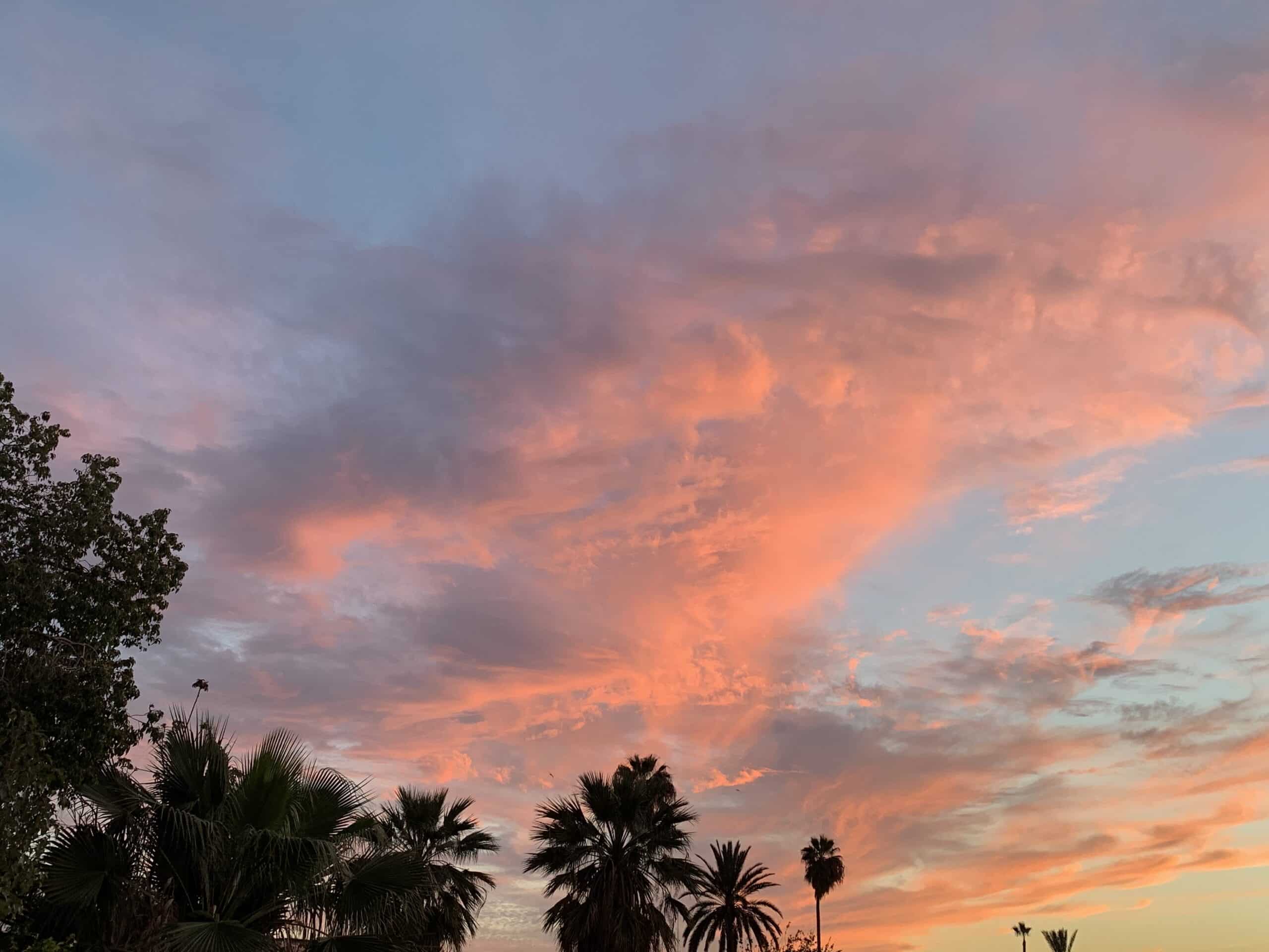 Coucher de soleil vibrant avec des nuages roses et oranges, et silhouettes de palmiers et d'arbres feuillus sur fond de ciel bleu.