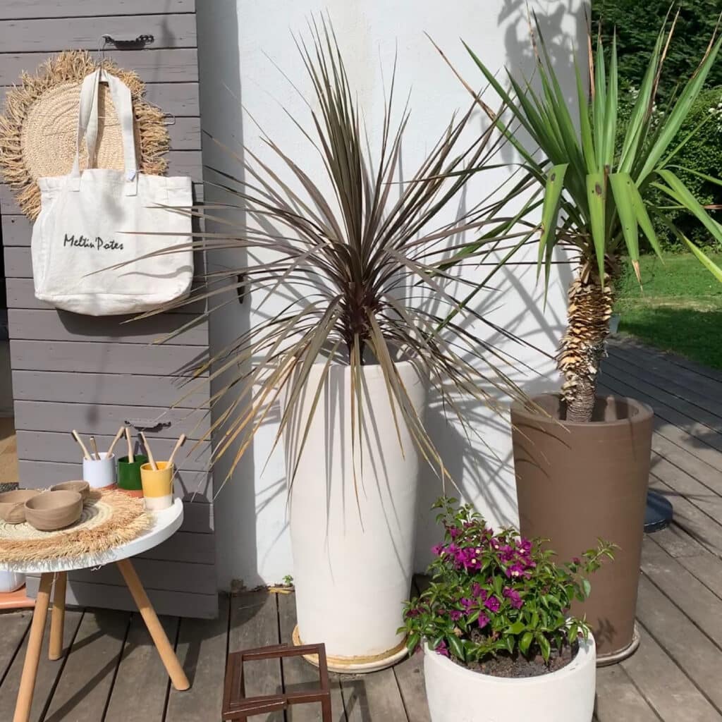 Décoration extérieure: plantes, sac Meltin'Potes, deck bois. Sac 'Meltin'Potes', chapeau paille, bols bois et brosses bambou sur table. Grandes plantes Dracaena, Yucca, Bougainvillier sur terrasse bois.