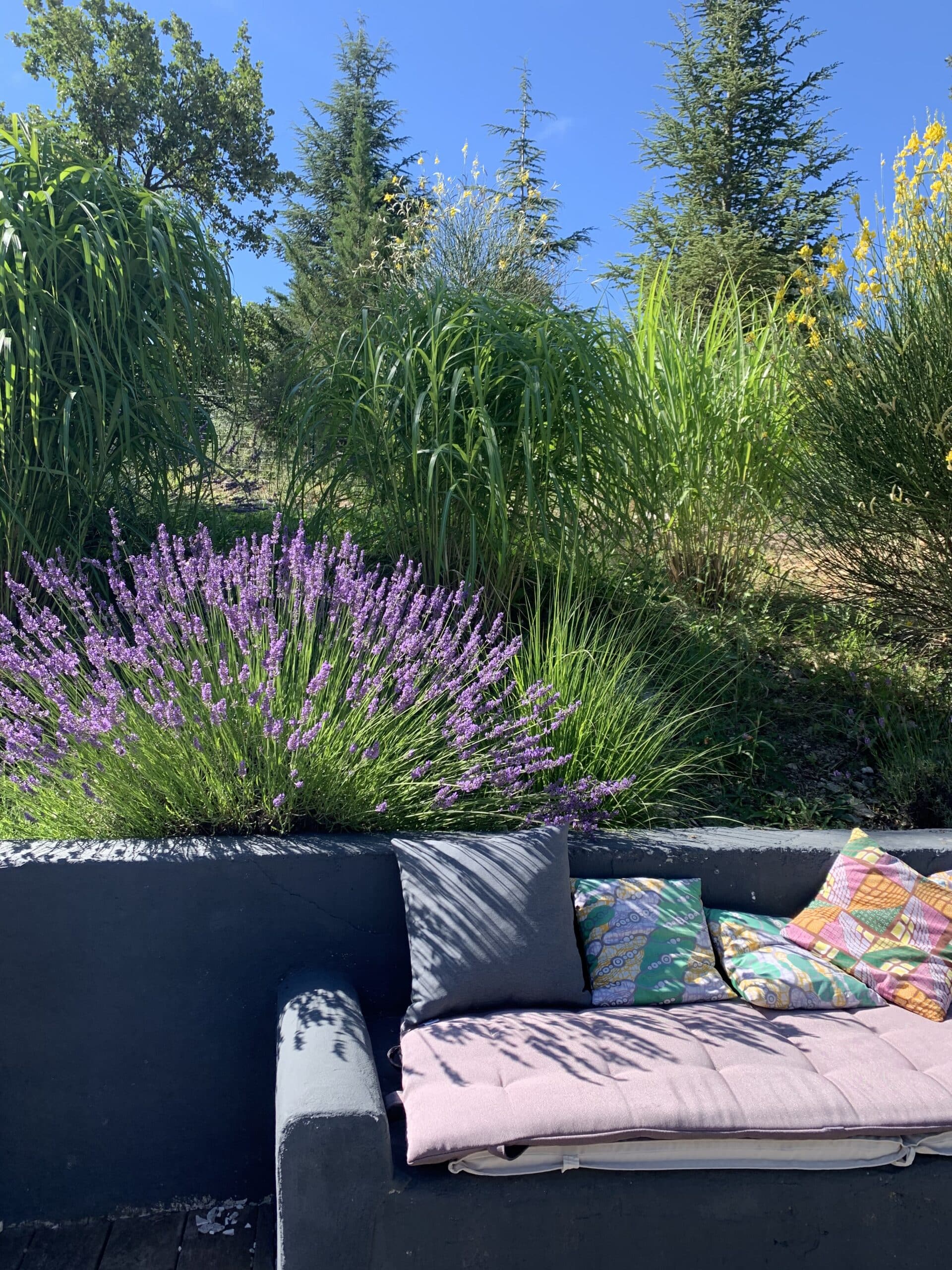 Canapé extérieur gris avec coussins colorés, devant un massif de lavande violette en fleurs et de hautes herbes vertes sous un ciel bleu.