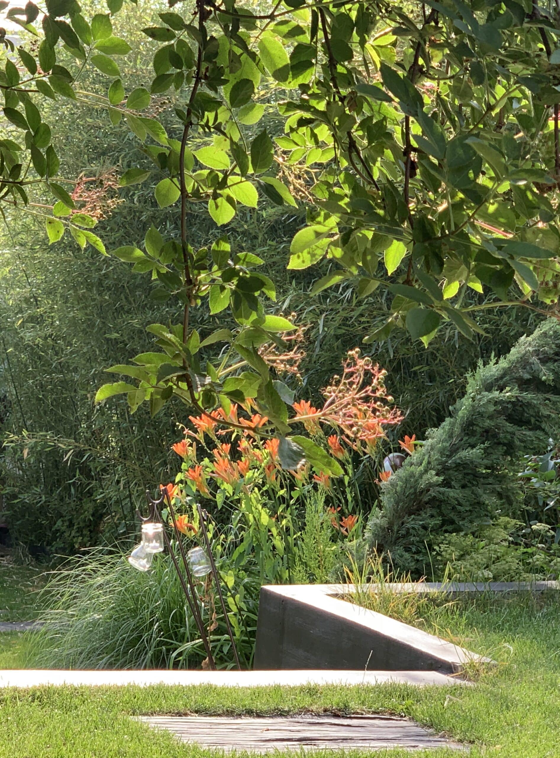 Jardin luxuriant au soleil, avec des hémérocalles orange vives, du bambou, des arbustes verts et un banc design moderne.