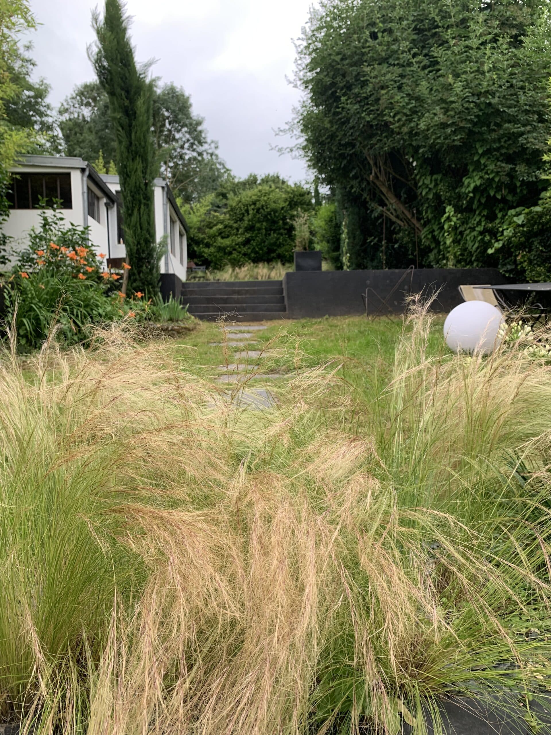 Jardin moderne avec hautes graminées dorées en premier plan, chemin de dalles, escalier sombre vers une terrasse et maison blanche entourée de verdure.