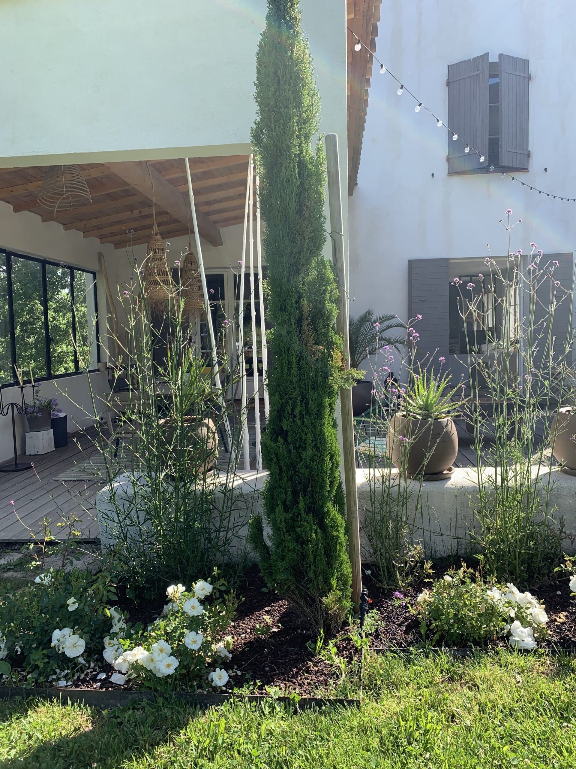 Jardin ensoleillé devant une maison blanche avec terrasse en bois. Cyprès central, rosiers blancs, fleurs violettes et volets gris. Arc-en-ciel discret.