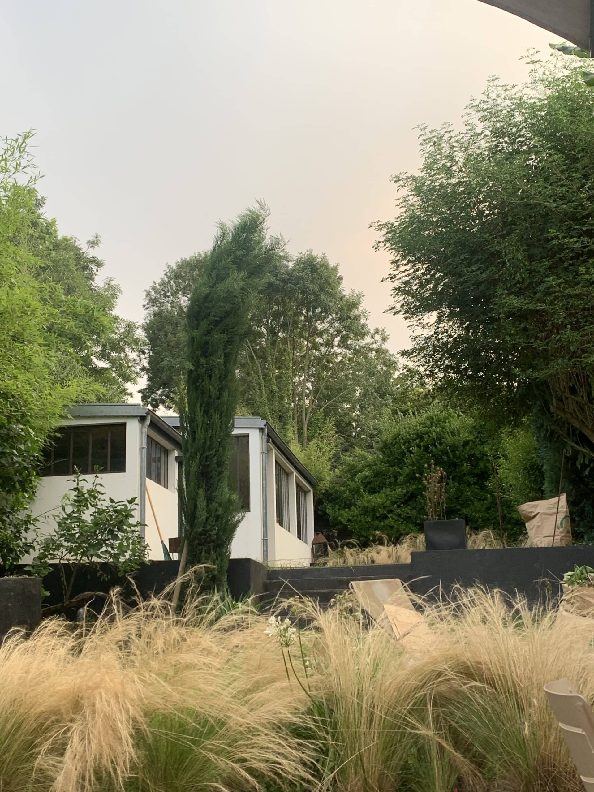 Maison blanche moderne avec fenêtres sombres, entourée d'arbres et de verdure. Grandes herbes ornementales dorées en premier plan. Ciel voilé.