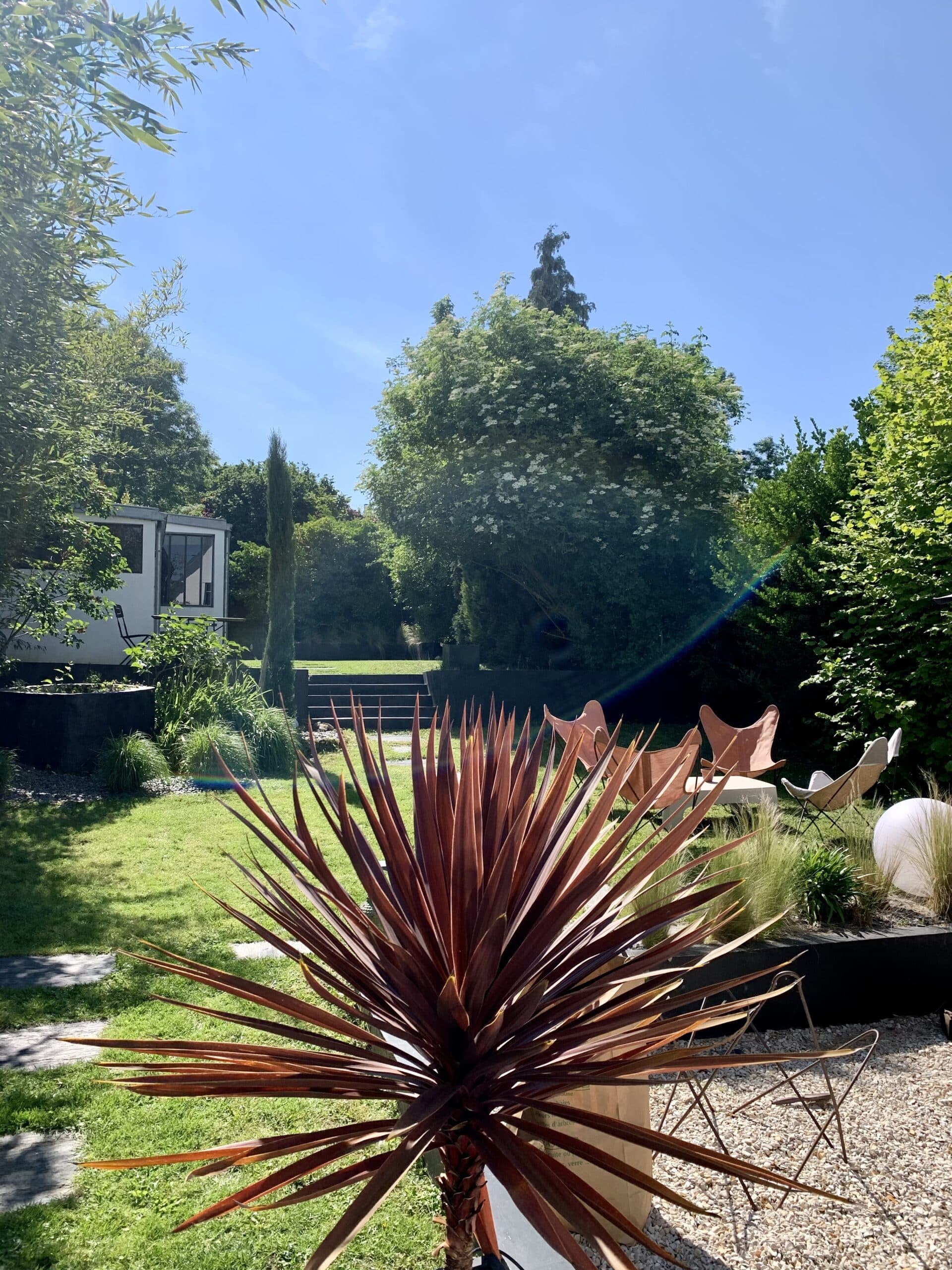 Jardin moderne et ensoleillé: grande plante aux feuilles rouges, chaises design sur gravier, pelouse, bâtiment blanc et arbres verts sous ciel bleu.