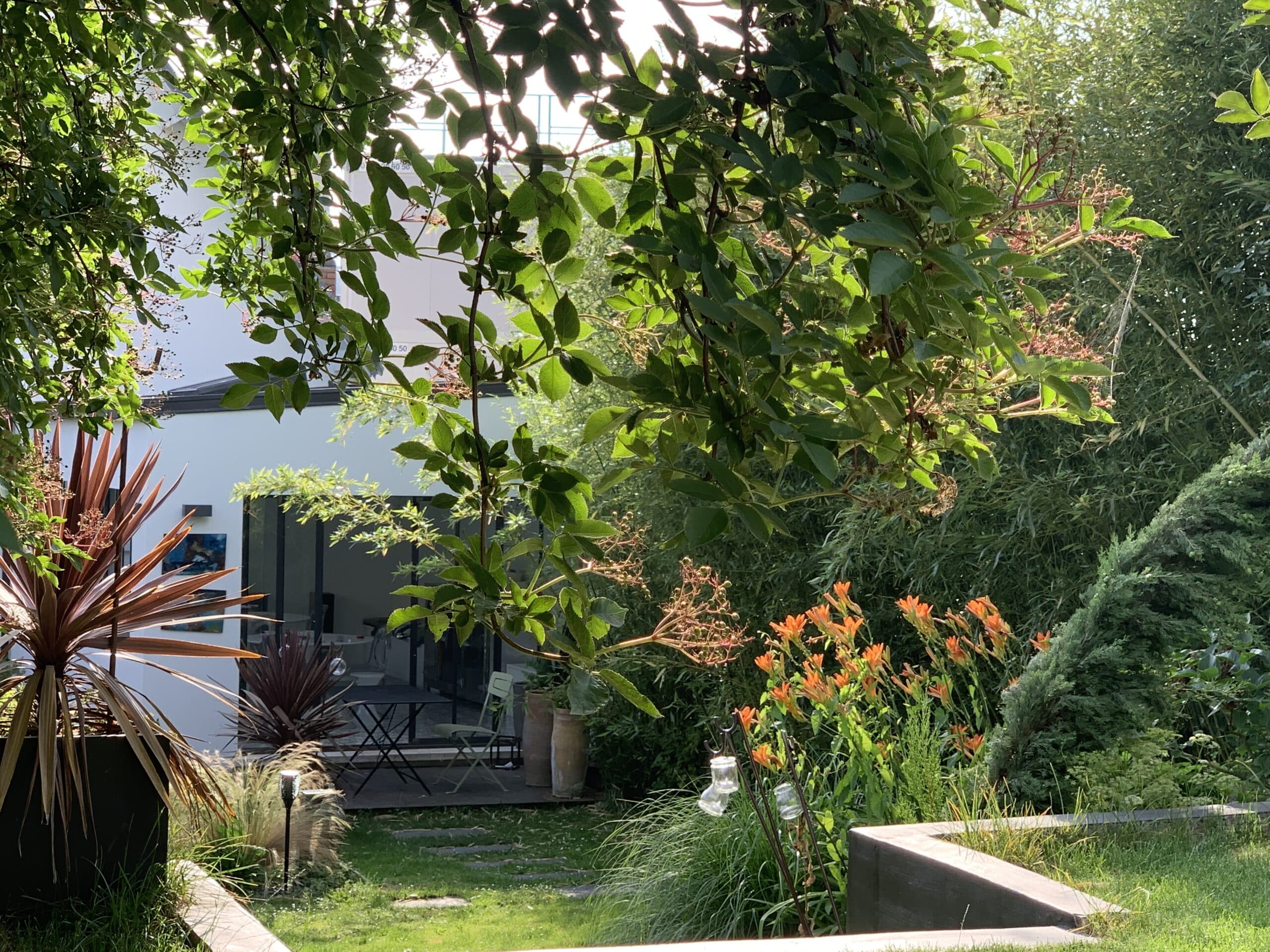 Vue d'un jardin ensoleillé avec feuillage dense, Cordyline, daylilies orange. Terrasse, maison moderne blanche. Contact 09 60 50.