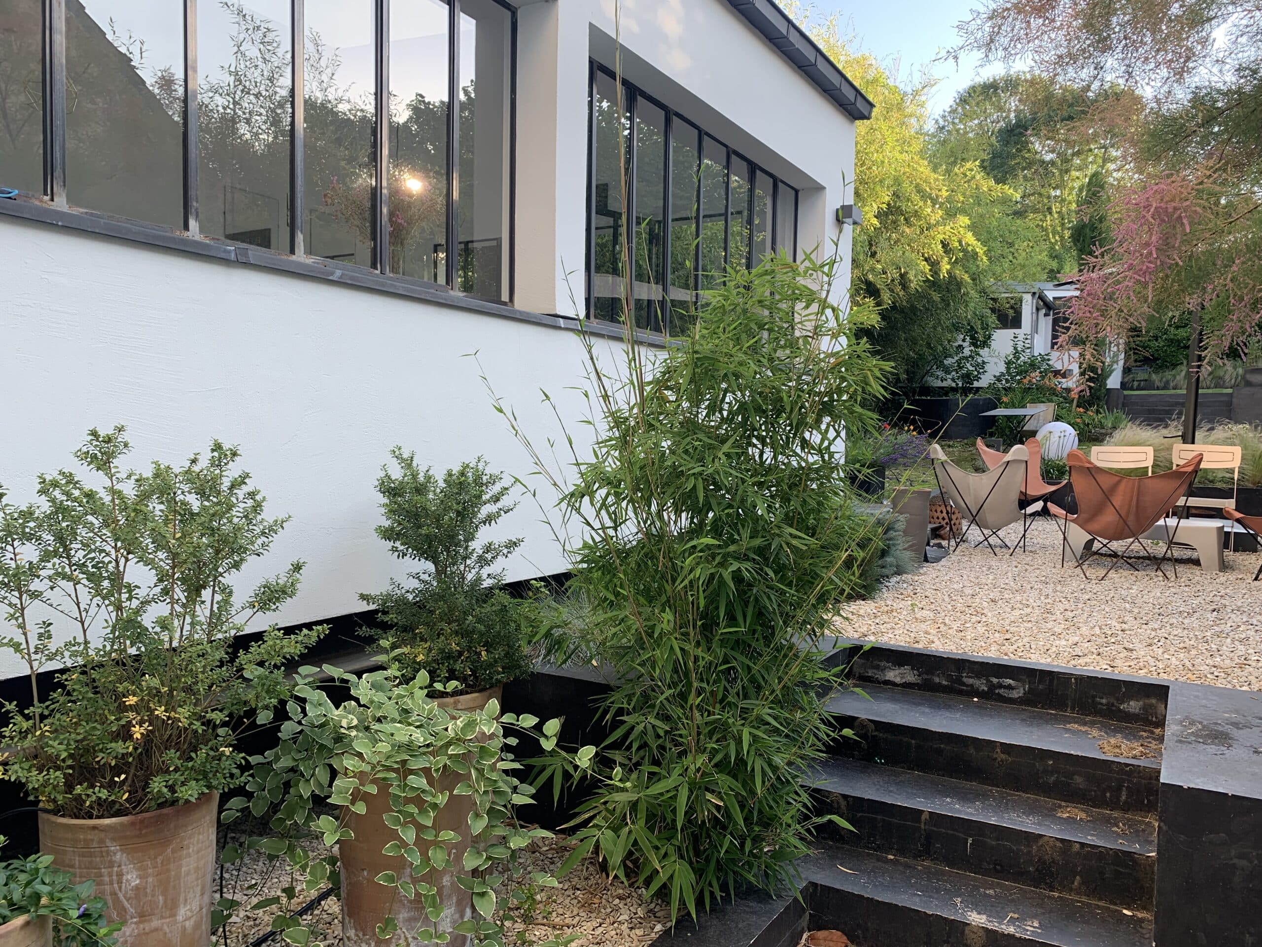 Maison moderne blanche, grandes fenêtres reflétant soleil et verdure. Jardin aménagé avec bambous, plantes en pot, terrasse en gravier et fauteuils papillon.