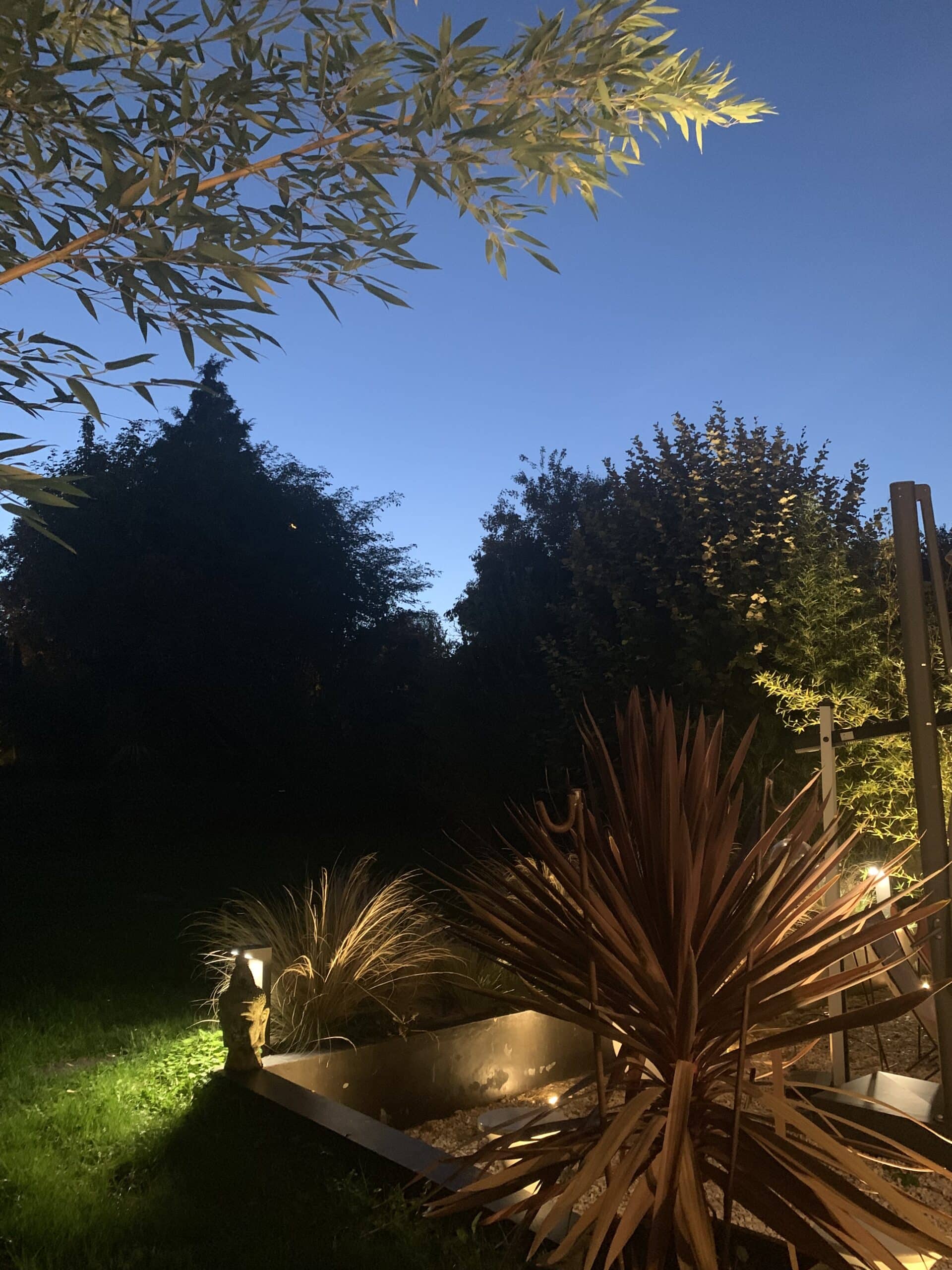 Jardin moderne de nuit avec plantes éclairées, bambou, statue de Buddha et ciel bleu foncé.