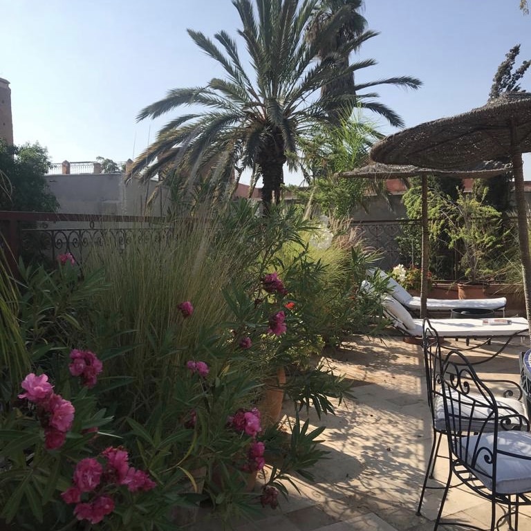 Patio verdoyant ensoleillé avec luxuriantes plantes à fleurs roses, palmiers, chaises longues et mobilier de jardin en fer forgé.