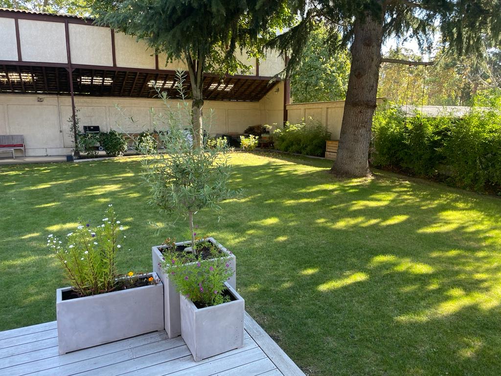 Jardin verdoyant avec pelouse ensoleillée, trois jardinières modernes en béton sur une terrasse en bois, contenant des fleurs et un jeune arbre. Bâtiment arrière et grands arbres.