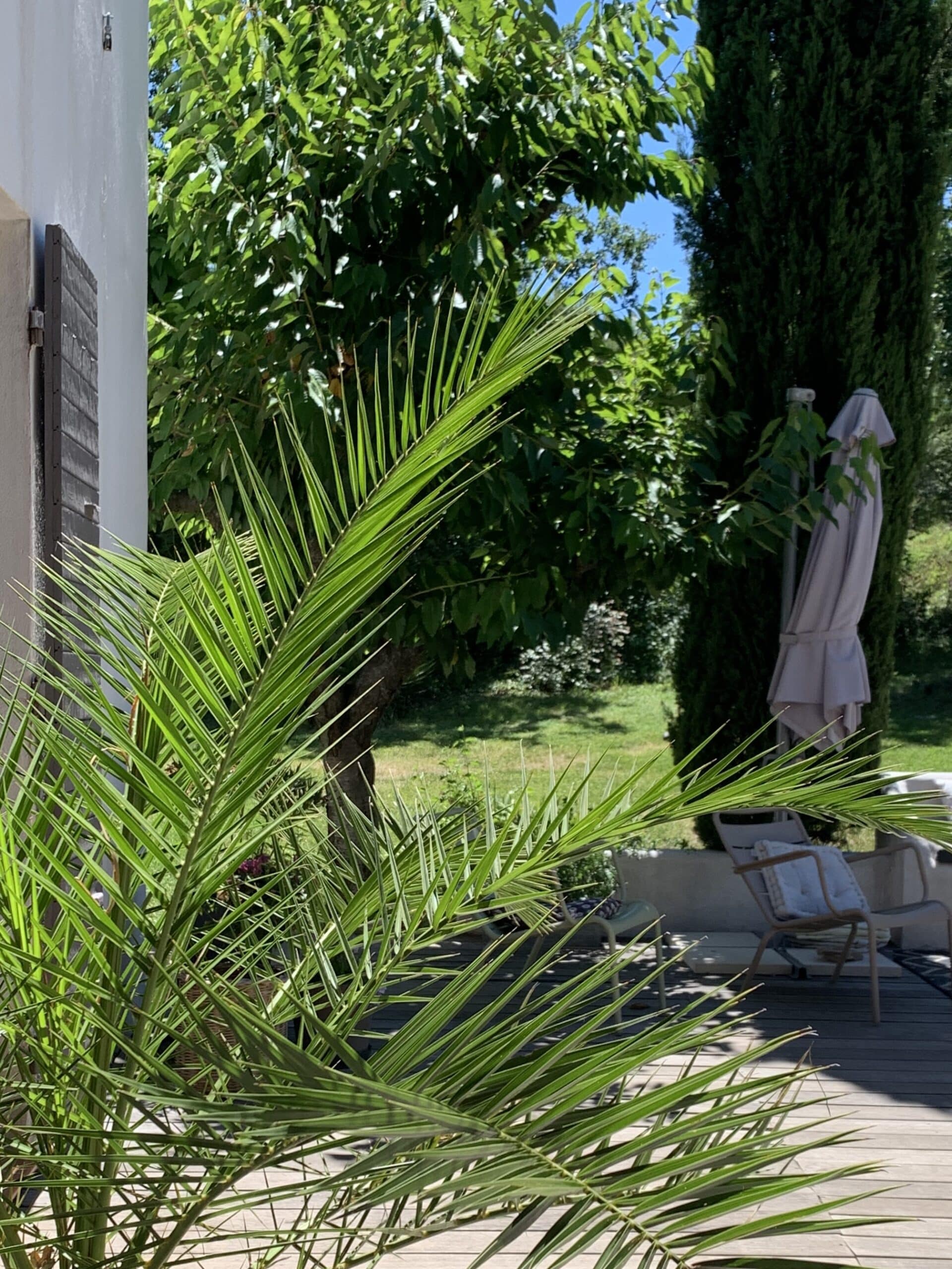 Frond de palmier vert éclatant devant une terrasse ensoleillée. Mobilier de jardin, parasol, verdure luxuriante et ciel bleu d'été.