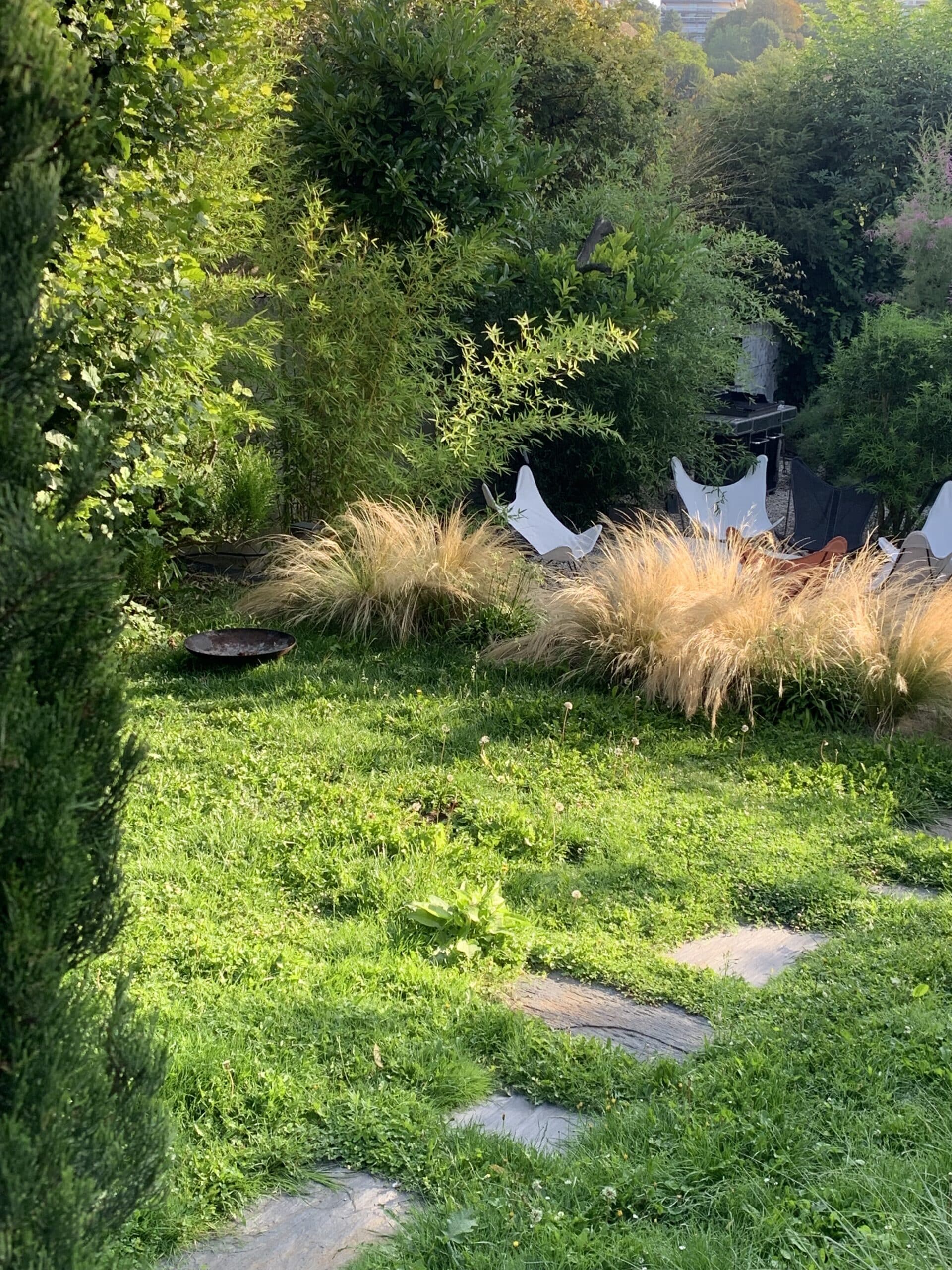 Jardin luxuriant avec chaises design, graminées dorées et chemin de pierre. Lumière du soleil sur la verdure, invitant à la détente.