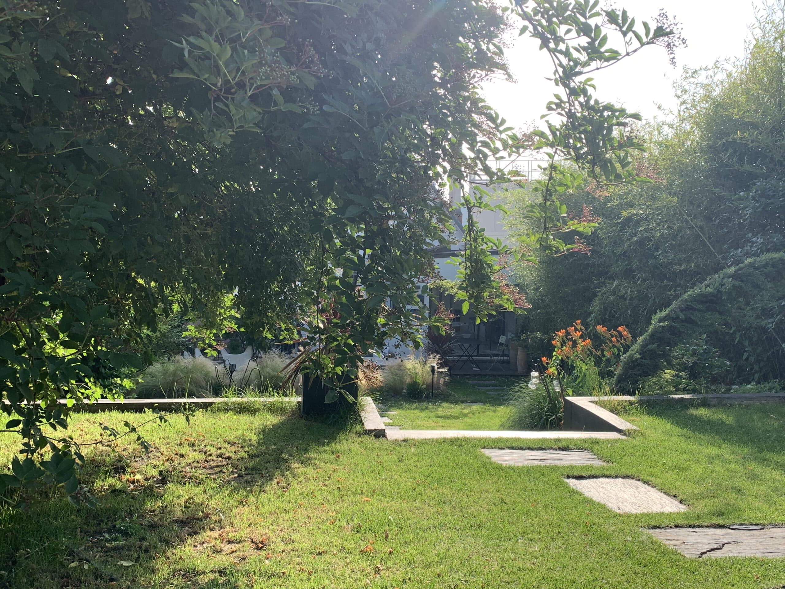 Jardin luxuriant ensoleillé: pelouse verte, dalles bois, arbres feuillus, fleurs oranges. Maison moderne et patio visibles derrière la verdure.