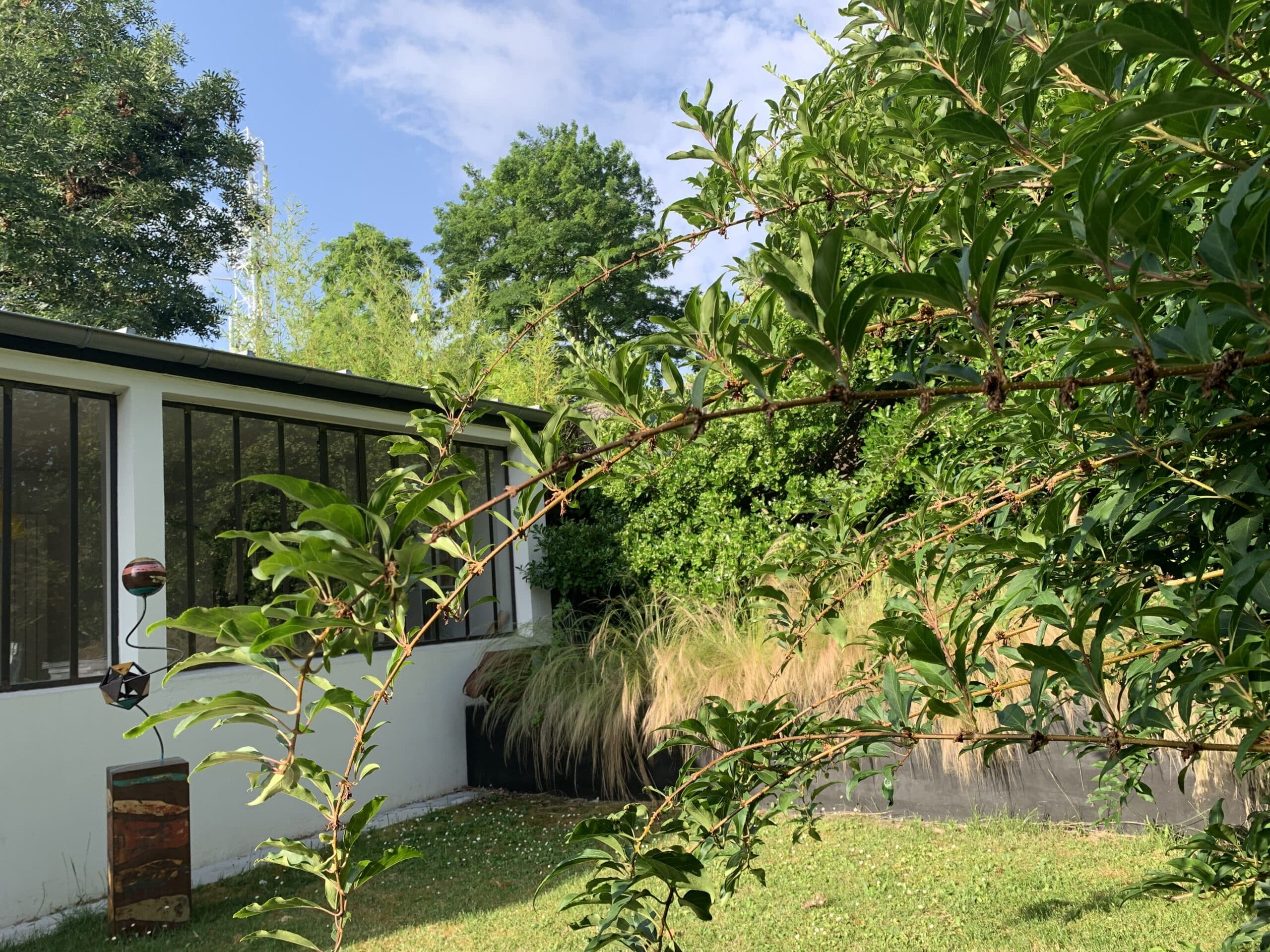 Jardin verdoyant avec arbres et arbustes en premier plan, devant une maison moderne aux grandes fenêtres sombres sous un ciel bleu clair.