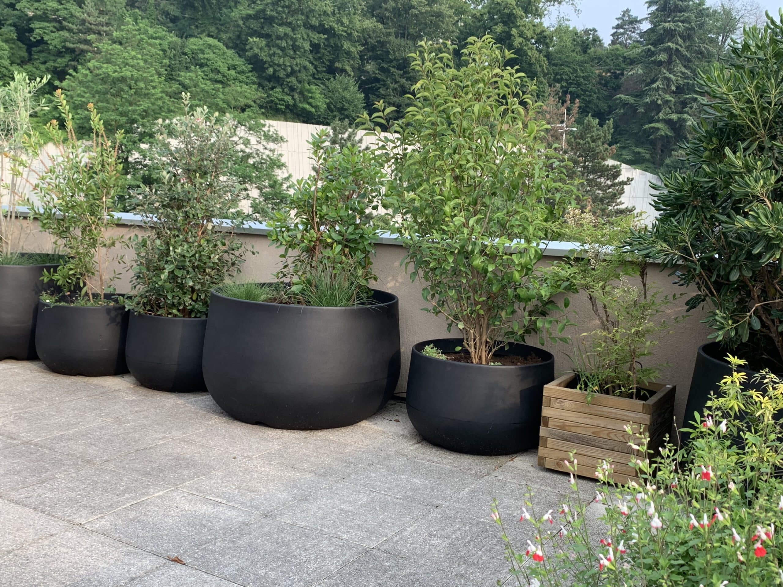 Terrasse moderne avec une rangée de grands pots noirs abritant diverses plantes vertes, dont des arbustes et de l'herbe, devant une forêt dense.