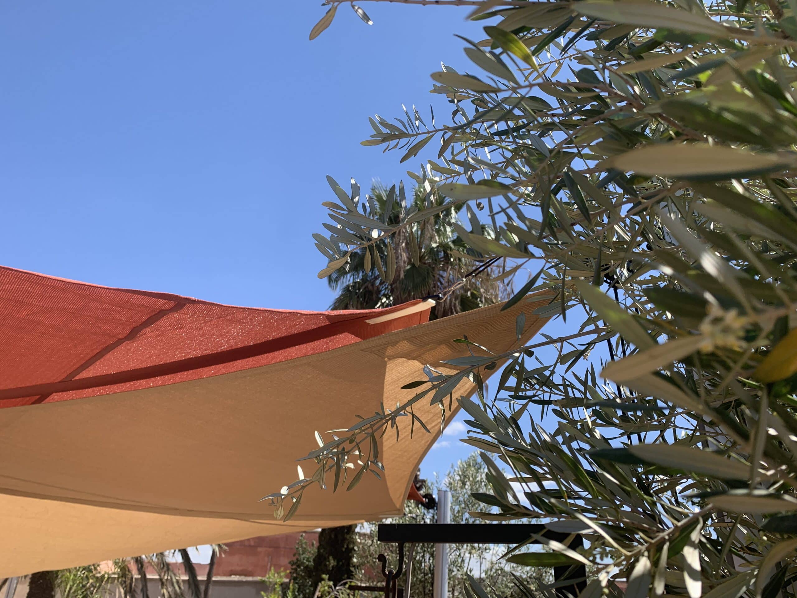 Ciel bleu lumineux au-dessus de voiles d'ombrage rouge et beige. Des branches d'olivier en premier plan et en arrière-plan filtrent la lumière du soleil.