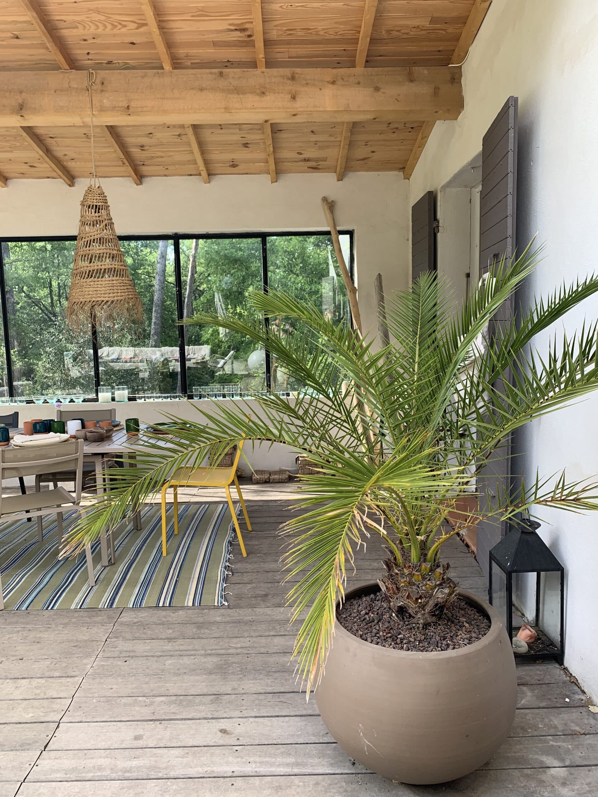 Terrasse couverte avec palmier, table dressée, plafond bois et vue sur forêt luxuriante. Ambiance bohème décontractée.