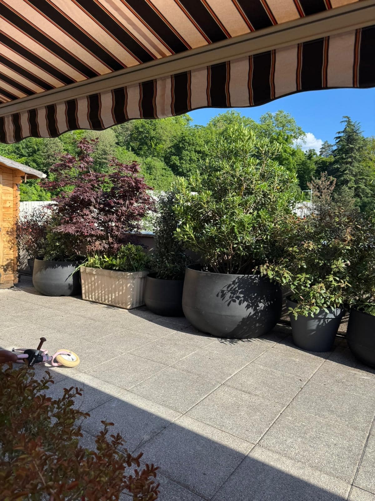 Terrasse ensoleillée avec grand auvent rayé et nombreux pots de plantes vertes et rouges. Un vélo PUKY rose est au sol. Fond boisé et ciel bleu.