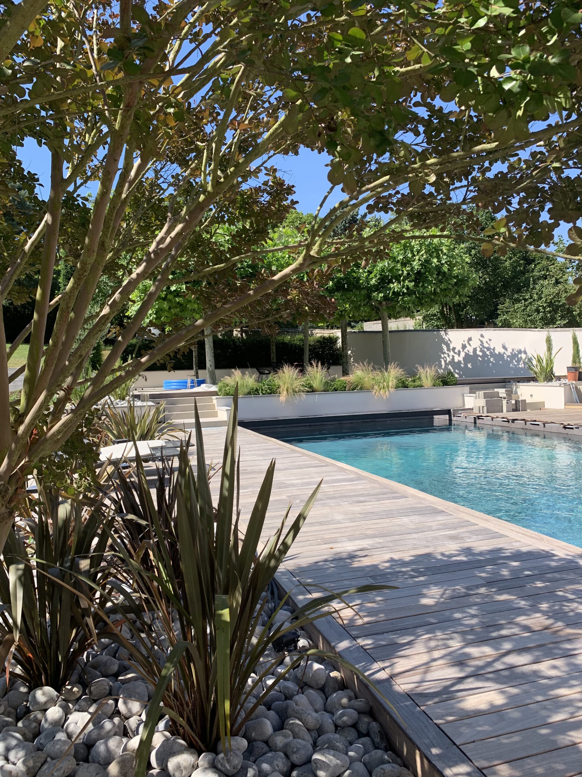 Magnifique piscine extérieure avec plage en bois et plantes, sous un grand arbre feuillu. Ambiance ensoleillée et paisible.