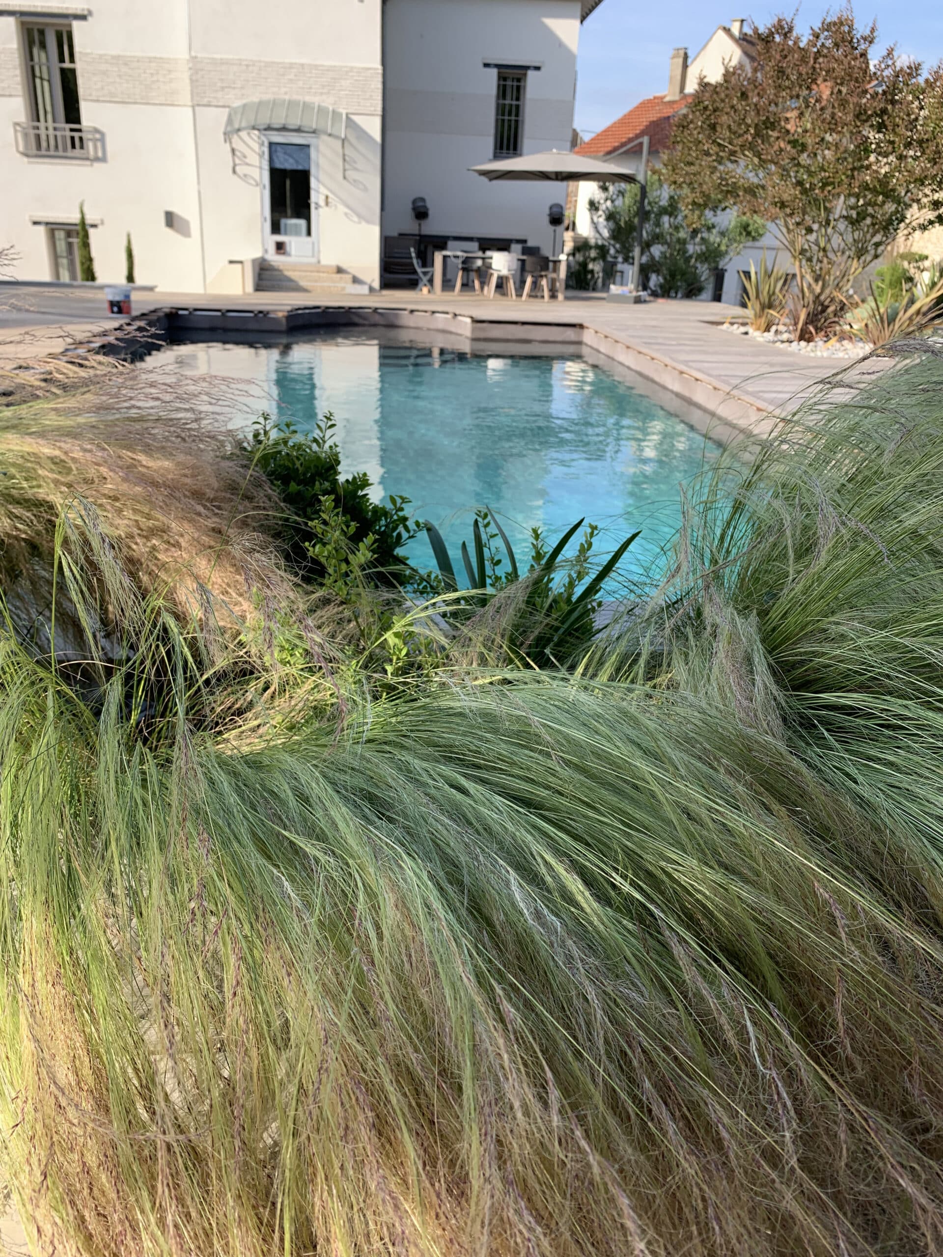 Longues herbes ornementales vertes bordant une piscine d'eau claire. En arrière-plan, une élégante maison blanche avec terrasse et salon de jardin.