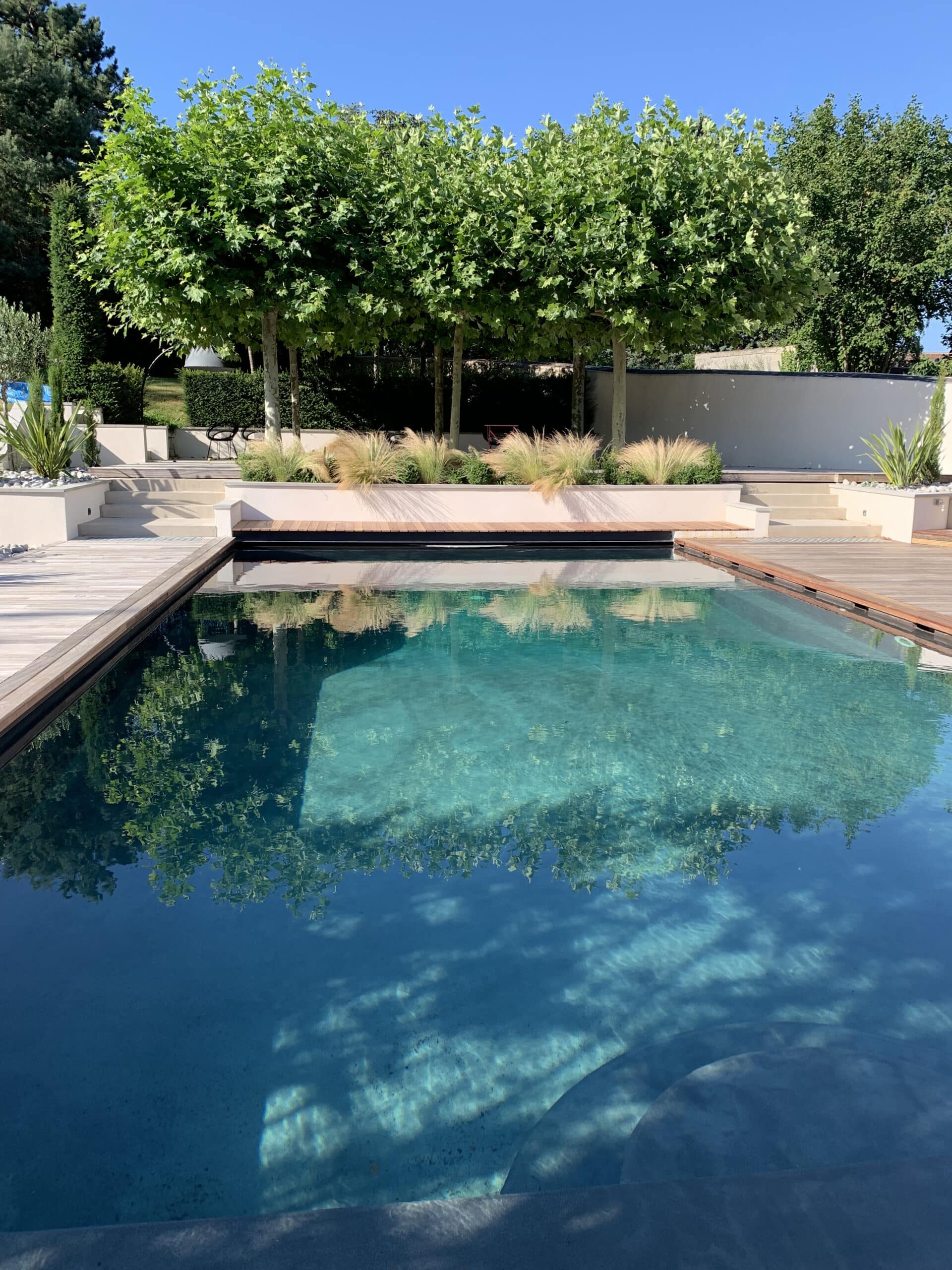 Piscine moderne avec margelles en bois clair, eau bleue réfléchissant les arbres. Jardin paysager en terrasses ensoleillé avec plantes vertes et graminées.