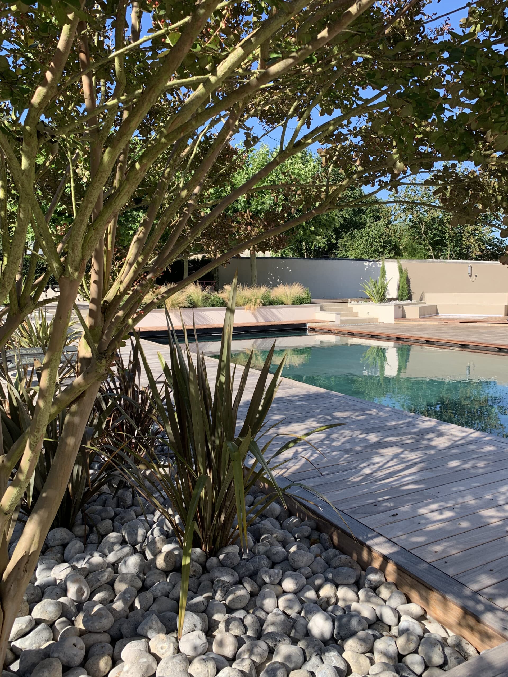 Jardin moderne ensoleillé avec piscine turquoise, terrasse en bois, arbre aux feuilles vertes et galets décoratifs.