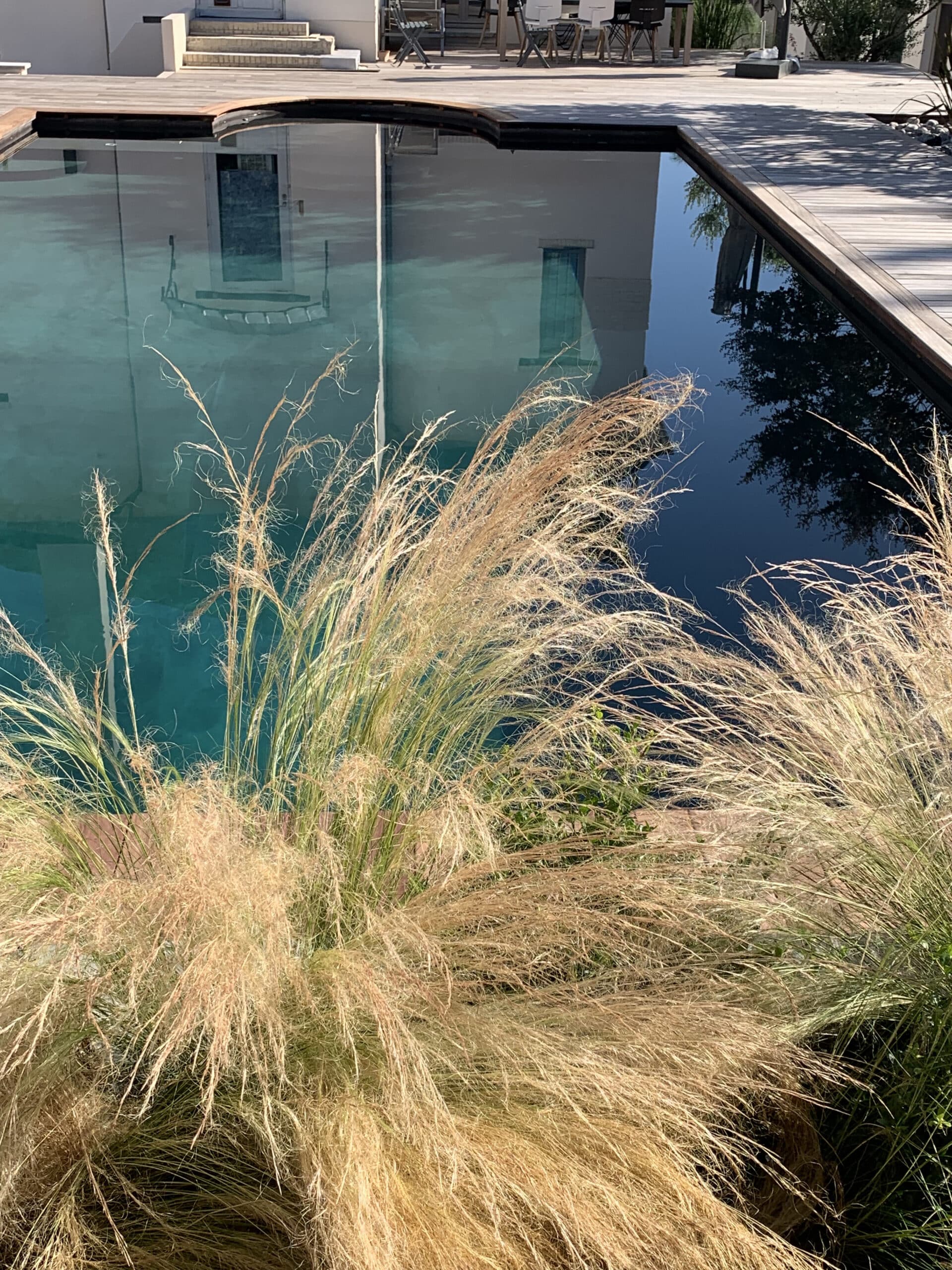 Piscine à débordement avec reflets architecturaux clairs, bordée de bois. Herbes de pampa dorées ensoleillées au premier plan.