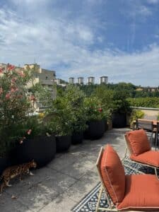 Terrasse de toit ensoleillée avec grands bacs noirs de plantes fleuries et un chat bengal marchant. Vue sur immeubles et collines boisées.