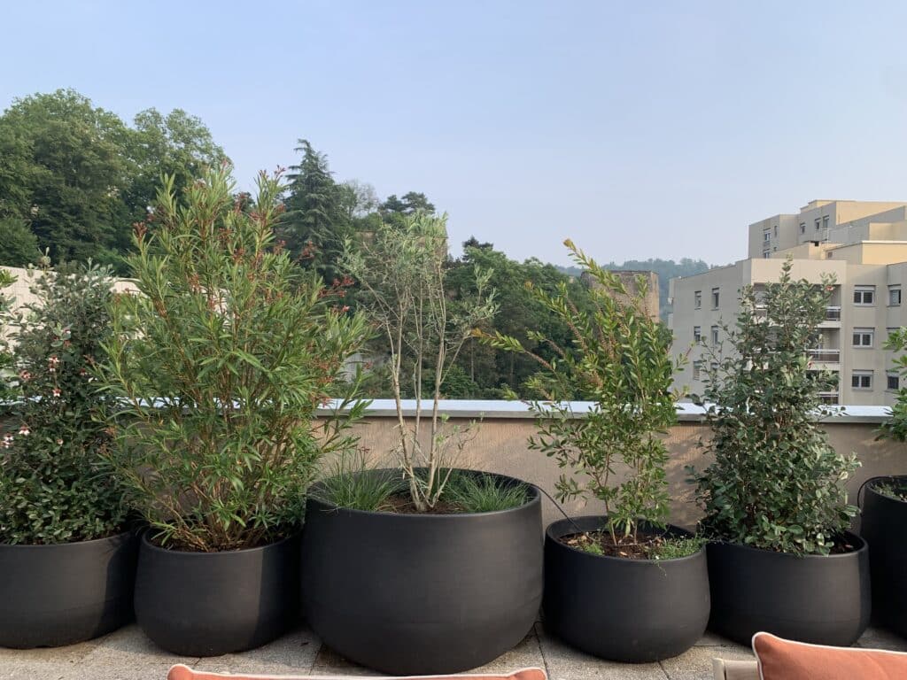 Terrasse: Grandes jardinières noires, plantes vertes (olivier, laurier rose en fleurs), fond boisé et bâtiments sous ciel clair.
